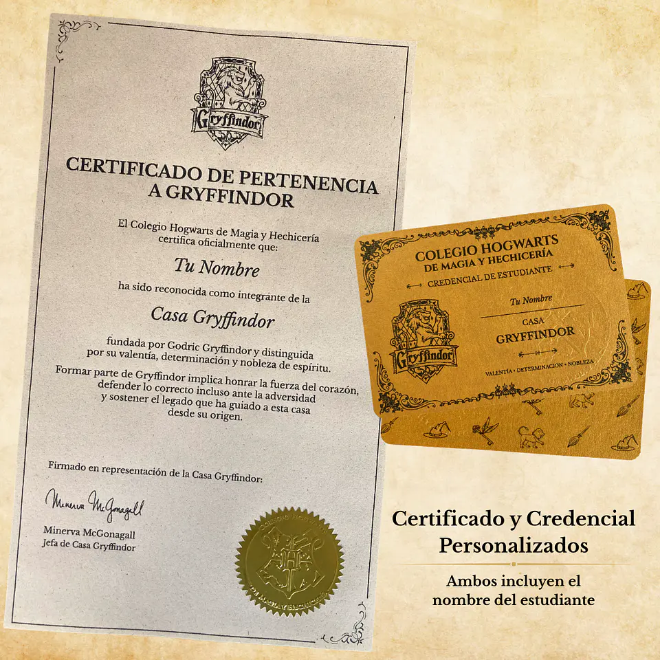 Pack Harry Potter - Casas de Hogwarts 4