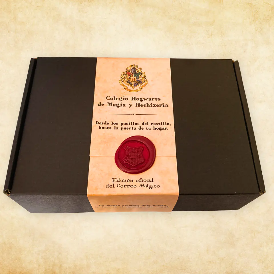 Pack Harry Potter - Casas de Hogwarts 17
