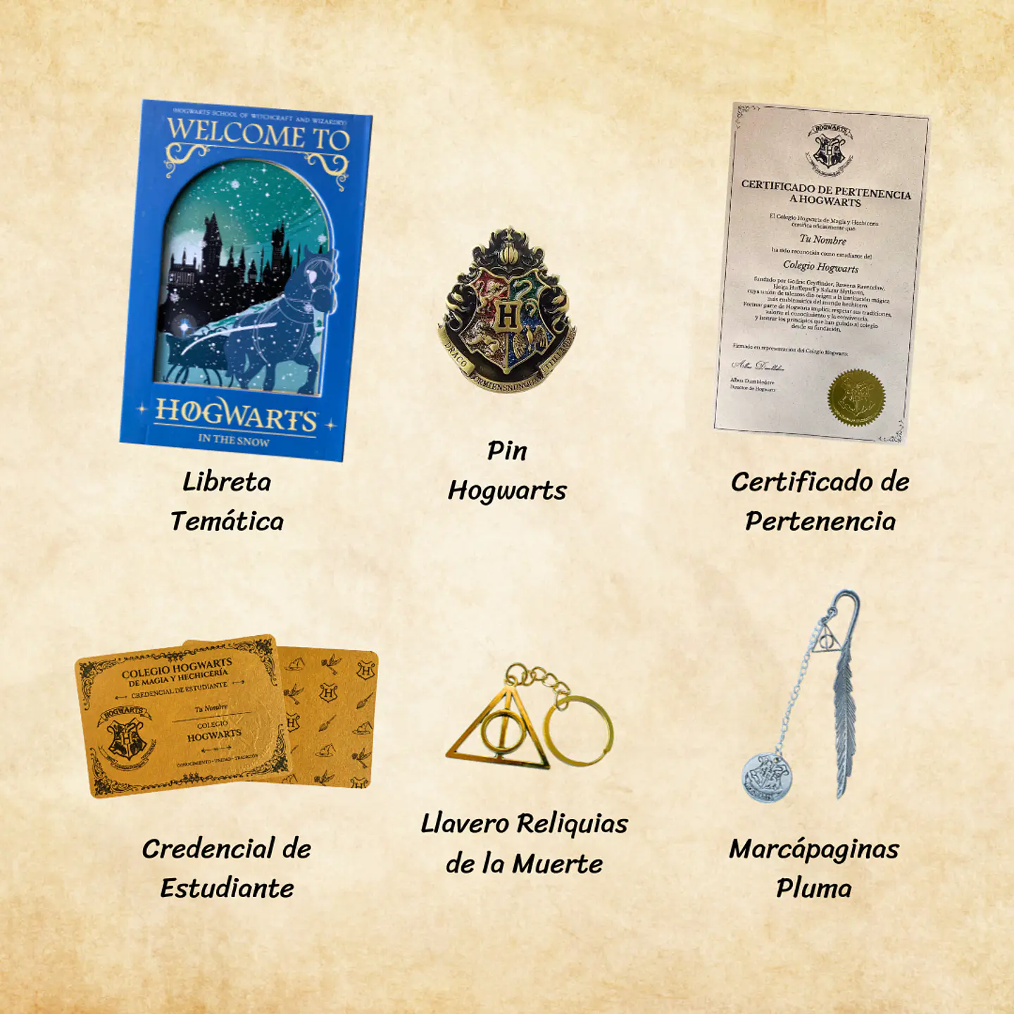 Pack Harry Potter - Casas de Hogwarts 19