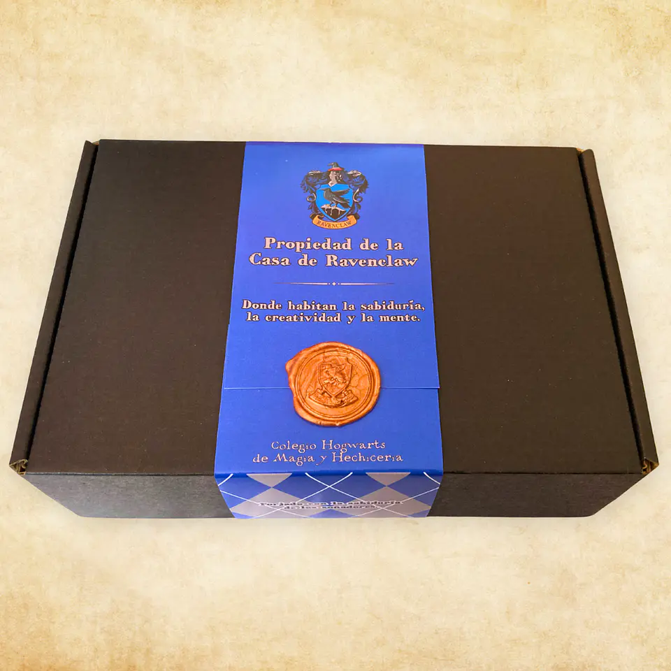 Pack Harry Potter - Casas de Hogwarts 9