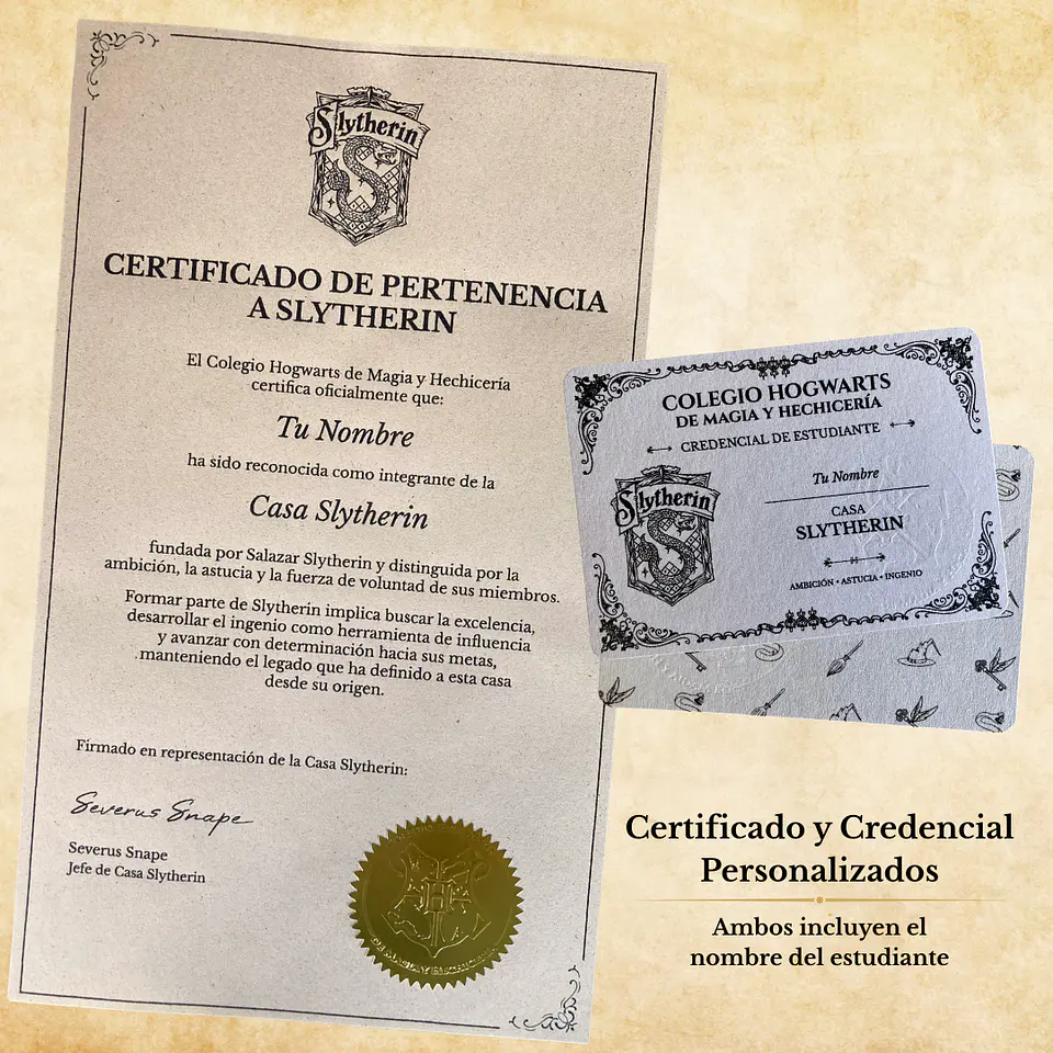 Pack Harry Potter - Casas de Hogwarts 8