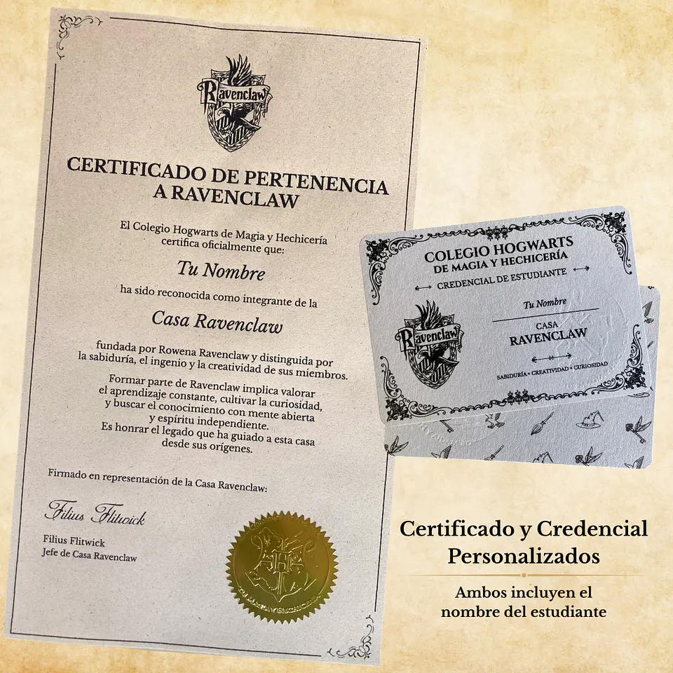 Pack Harry Potter - Casas de Hogwarts 12
