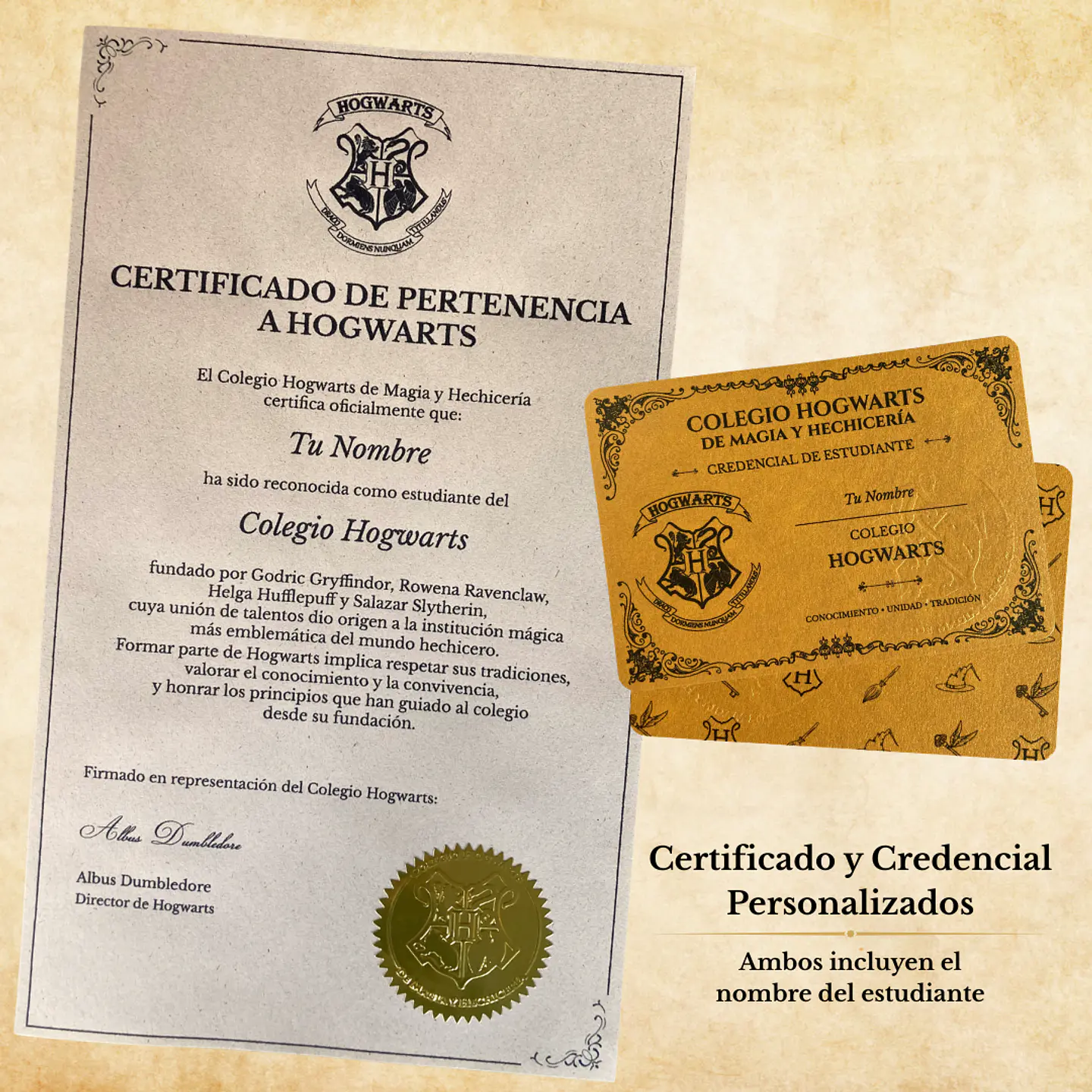 Pack Harry Potter - Casas de Hogwarts 20