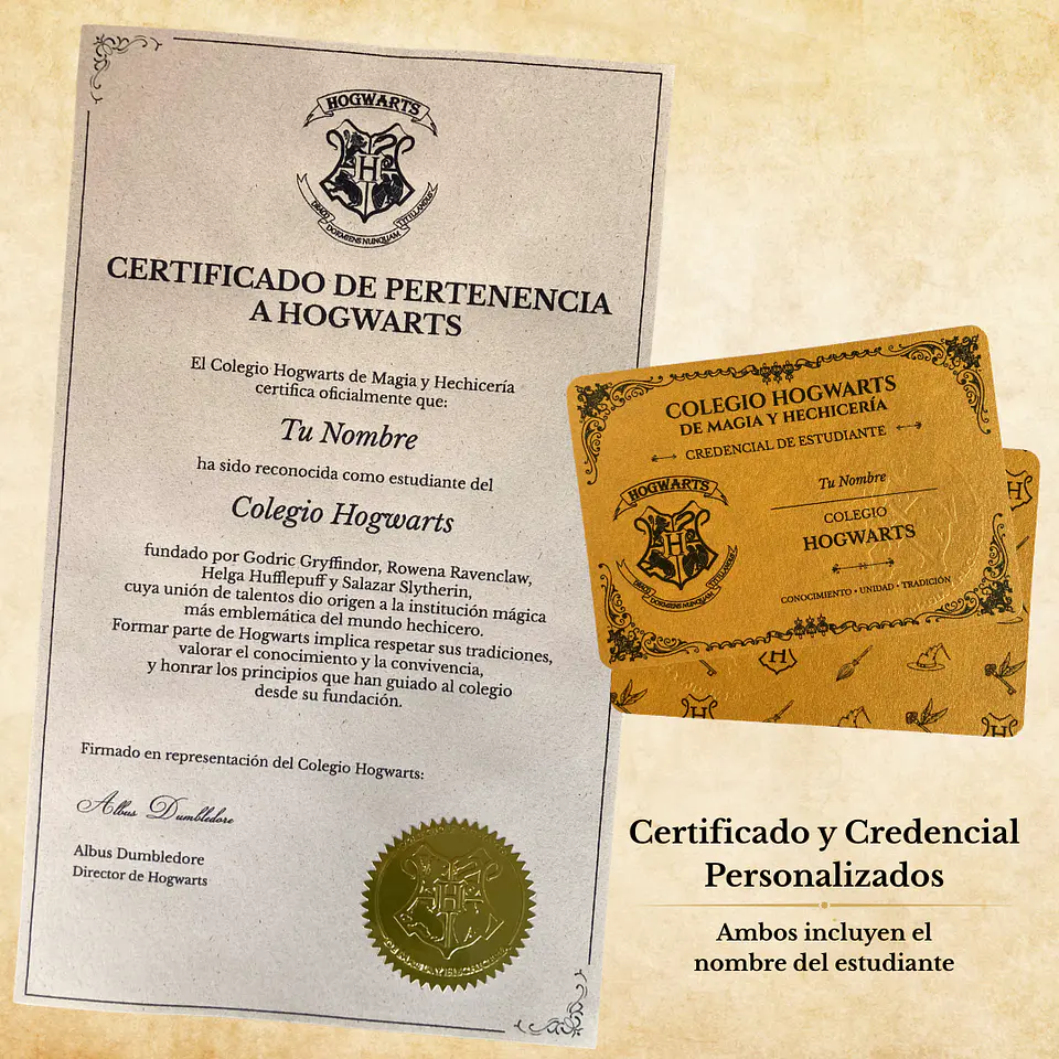 Pack Harry Potter - Casas de Hogwarts 20