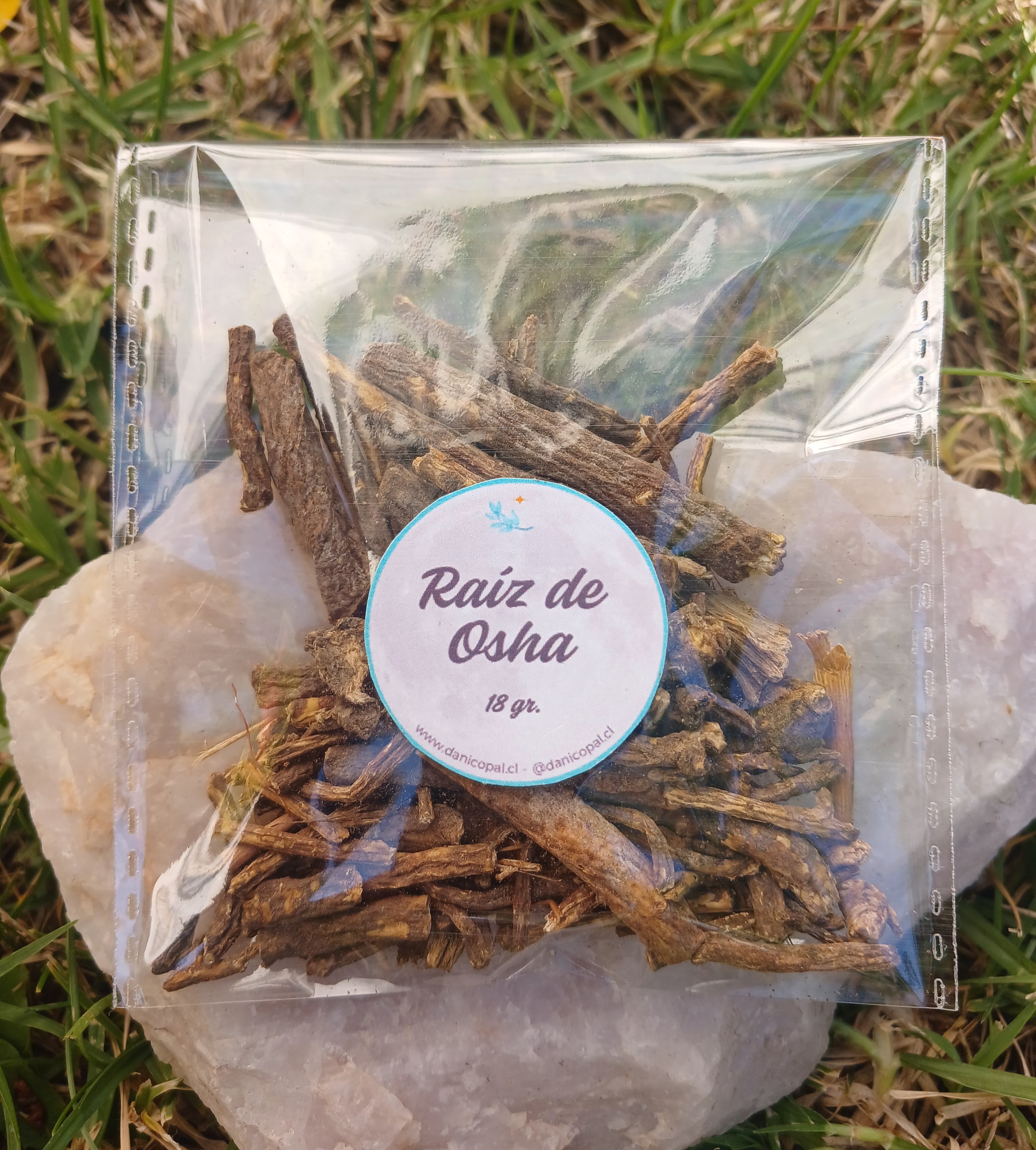 Raíz de Osha entera 18grs