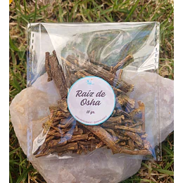 Raíz de Osha entera 18grs
