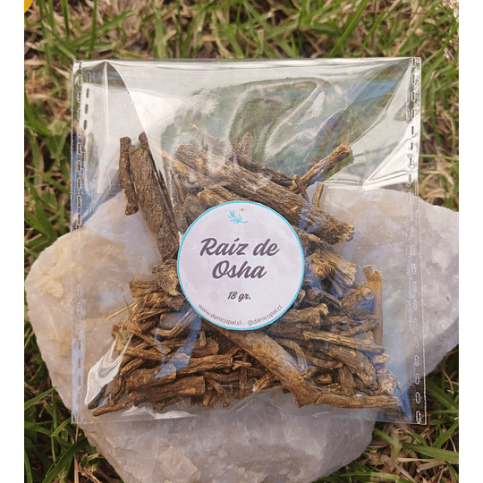 Raíz de Osha entera 18grs