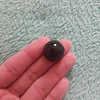 Ombliguera de Obsidiana negra