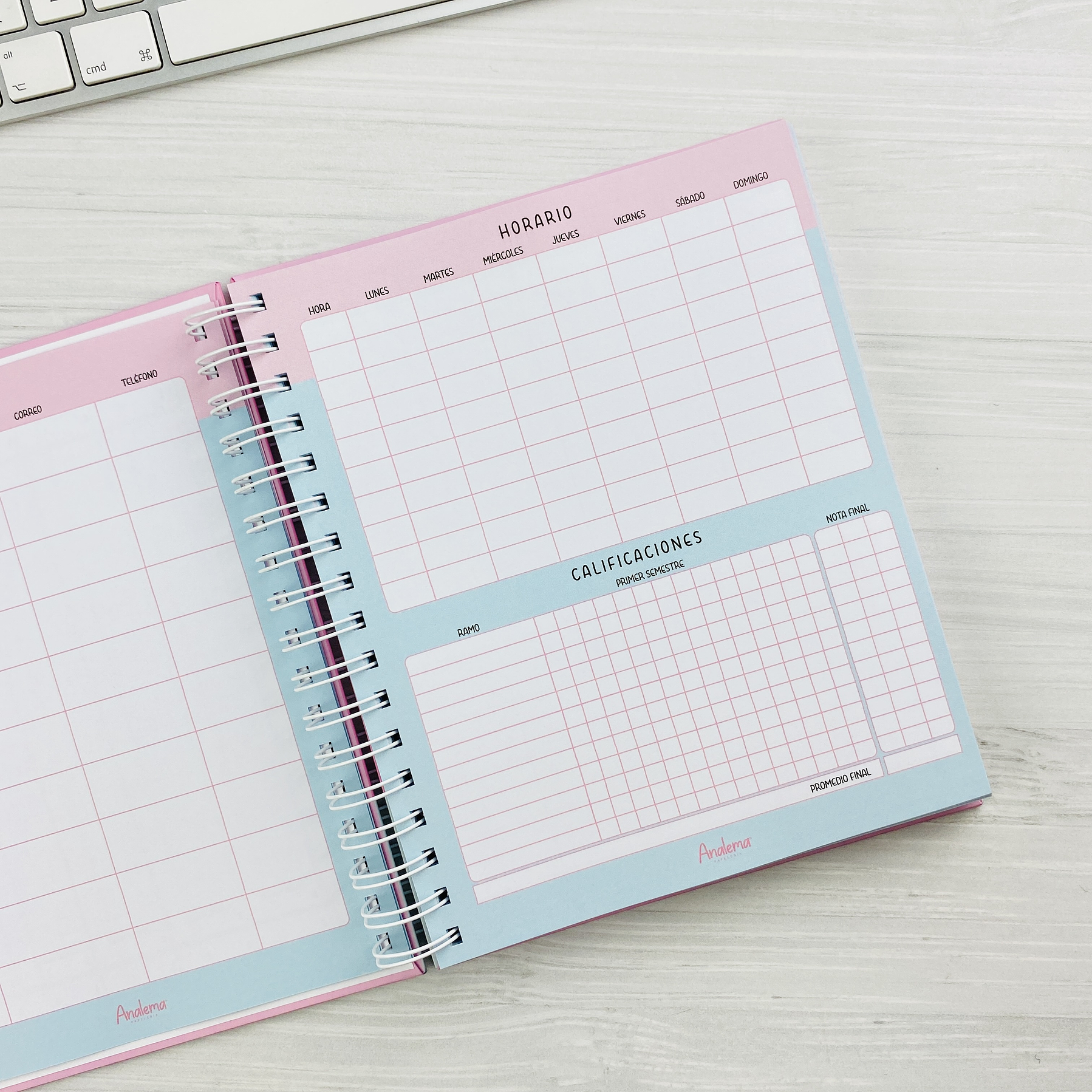 Planner Universitario Tamaño Super / interior Rosado 4