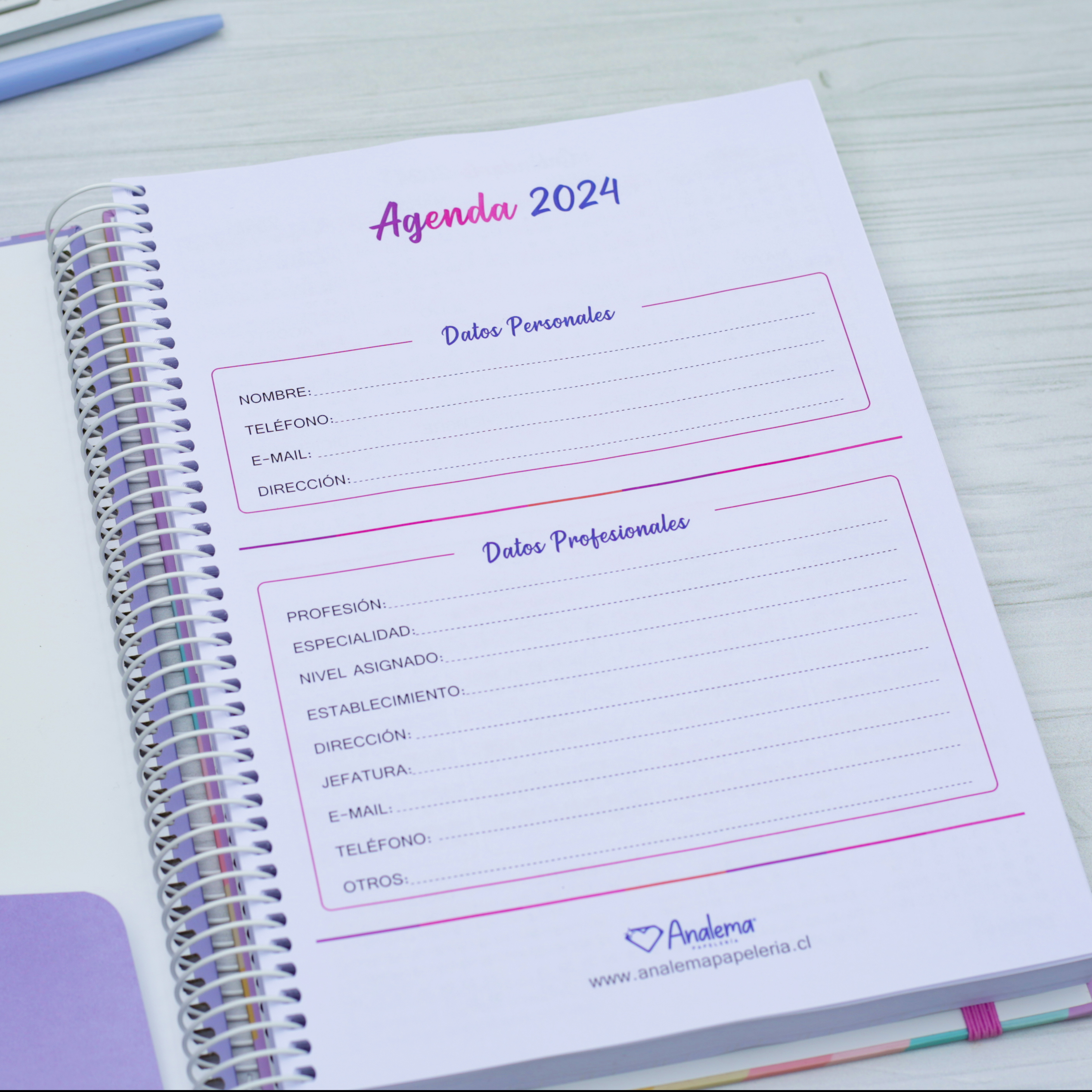 Agenda Educadora Diferencial 2024 (interior color morado) 19