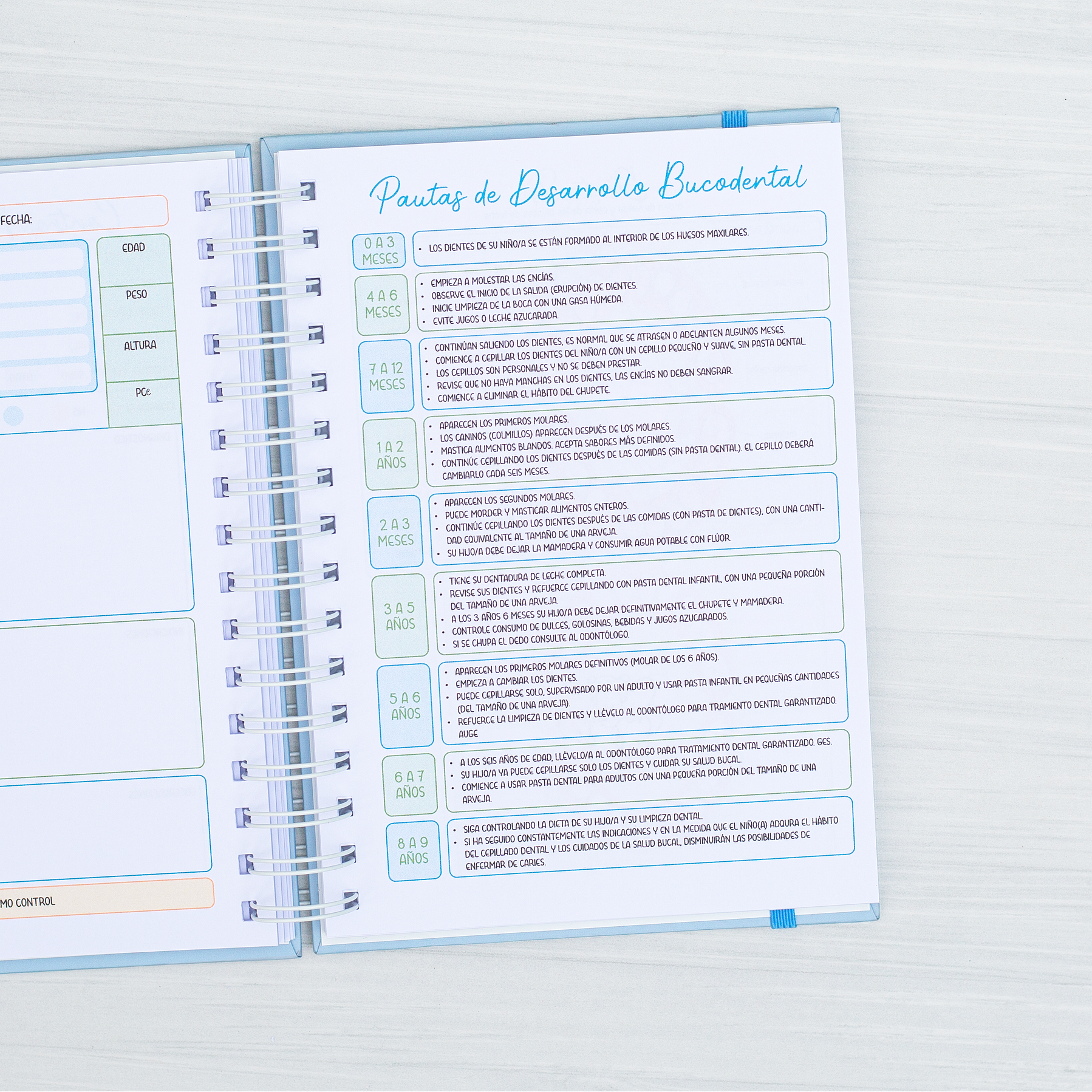 Agenda Pediátrica Oso I 8