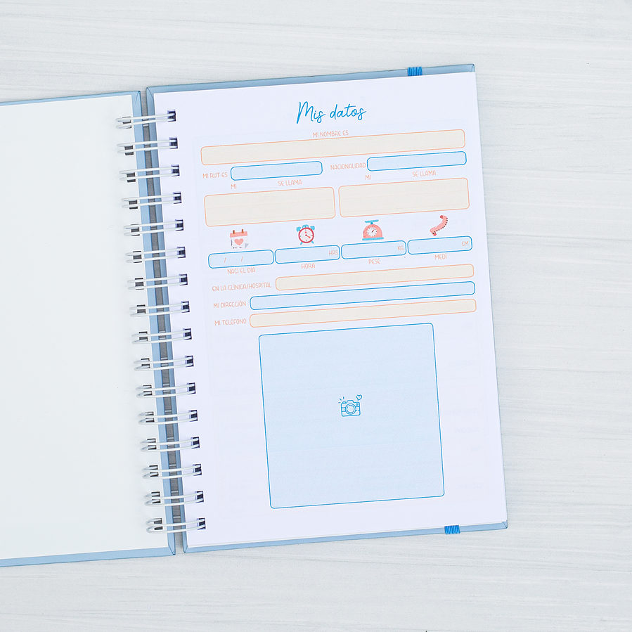 Agenda Pediátrica Conejo 2