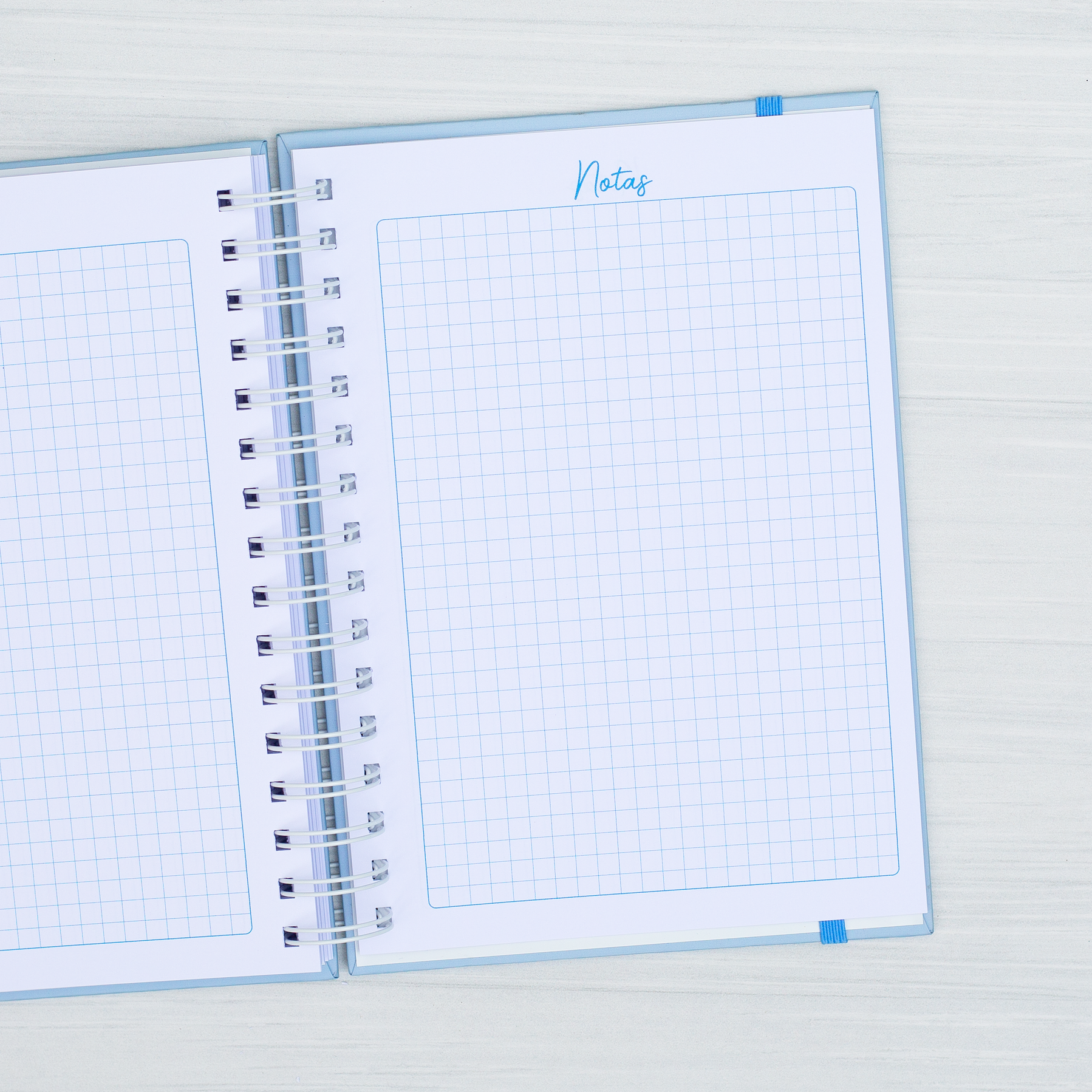 Agenda Pediátrica Conejo 21