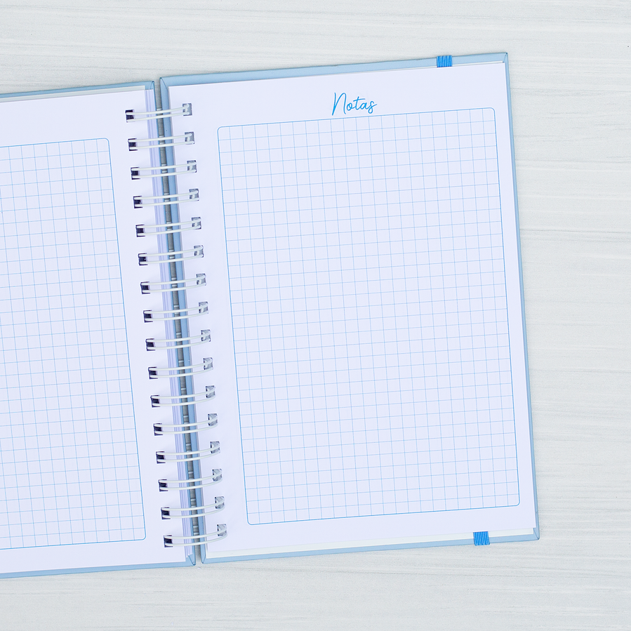 Agenda Pediátrica Conejo 21