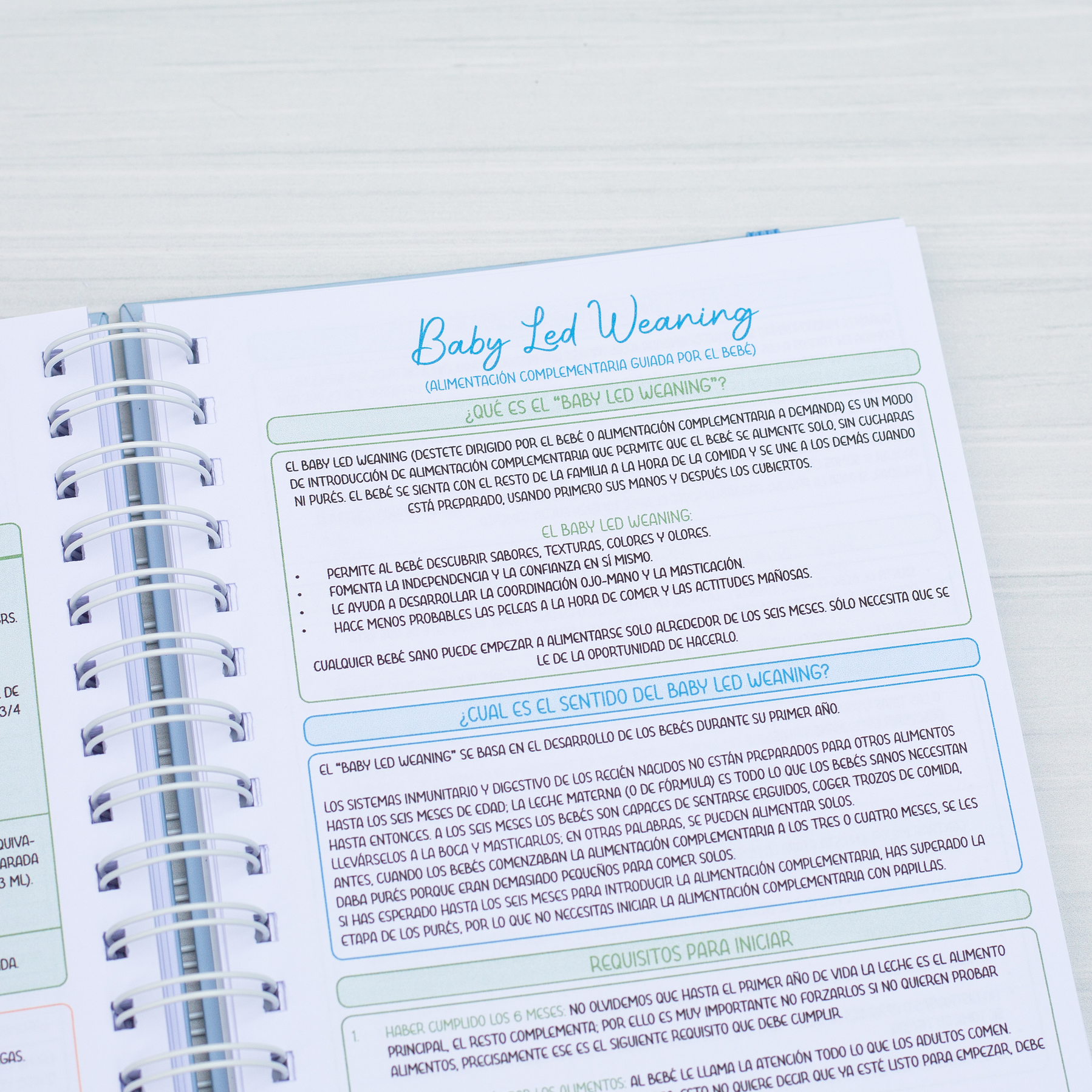 Agenda Pediátrica Principito II 13