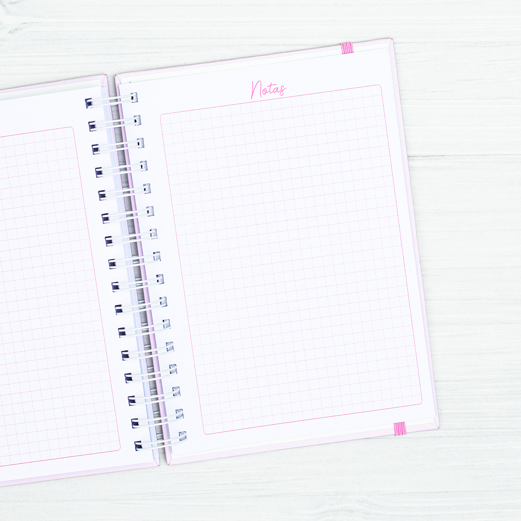 Agenda Pediátrica Elefante II 22