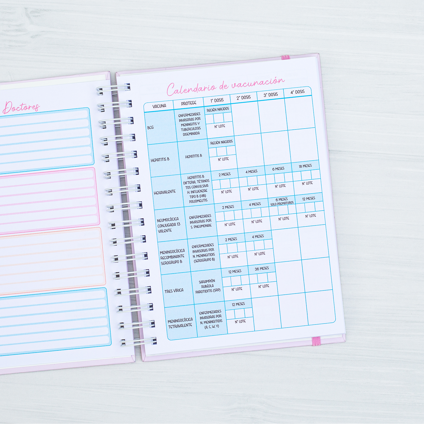 Agenda Pediátrica Conejita II 5