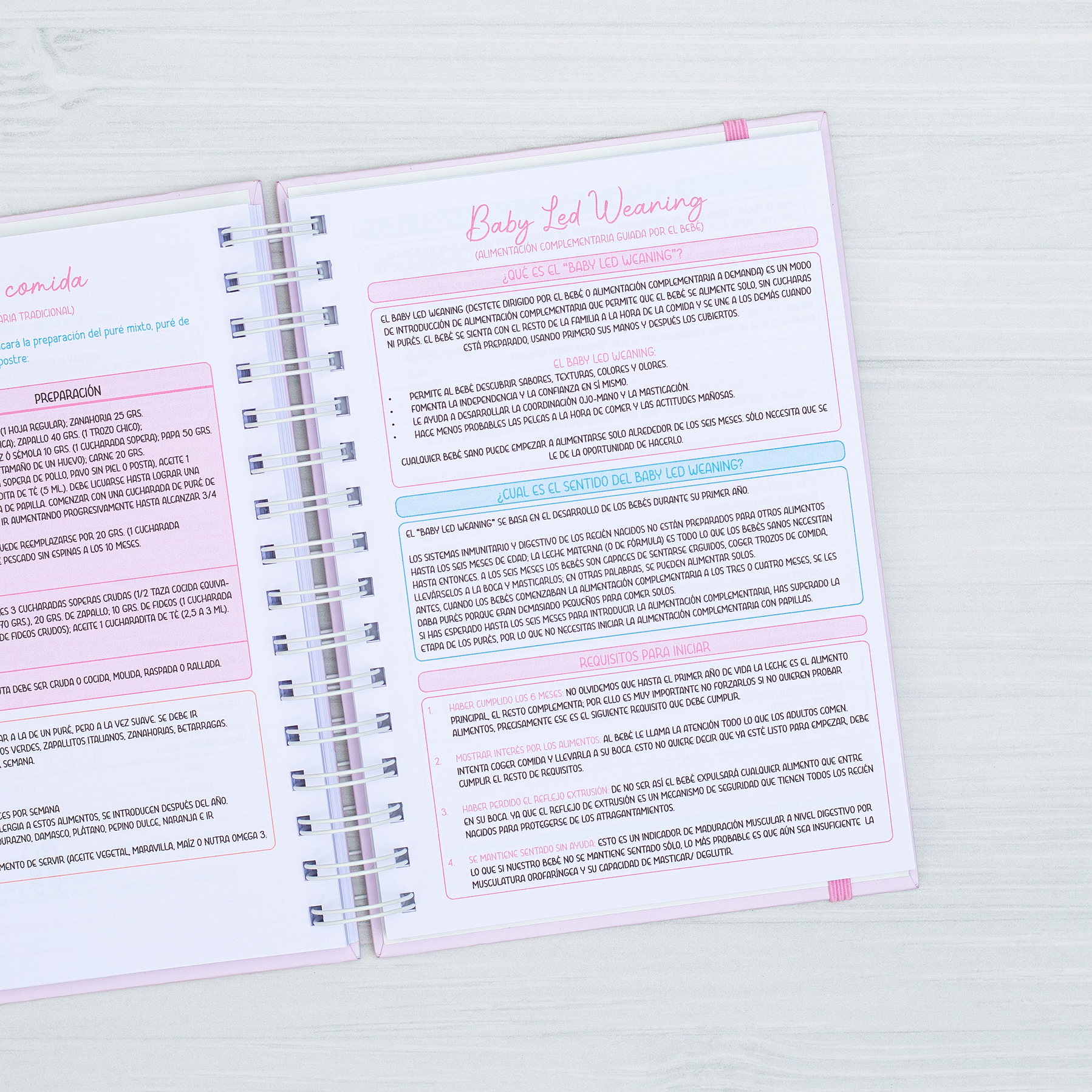 Agenda Pediátrica Conejita II 13