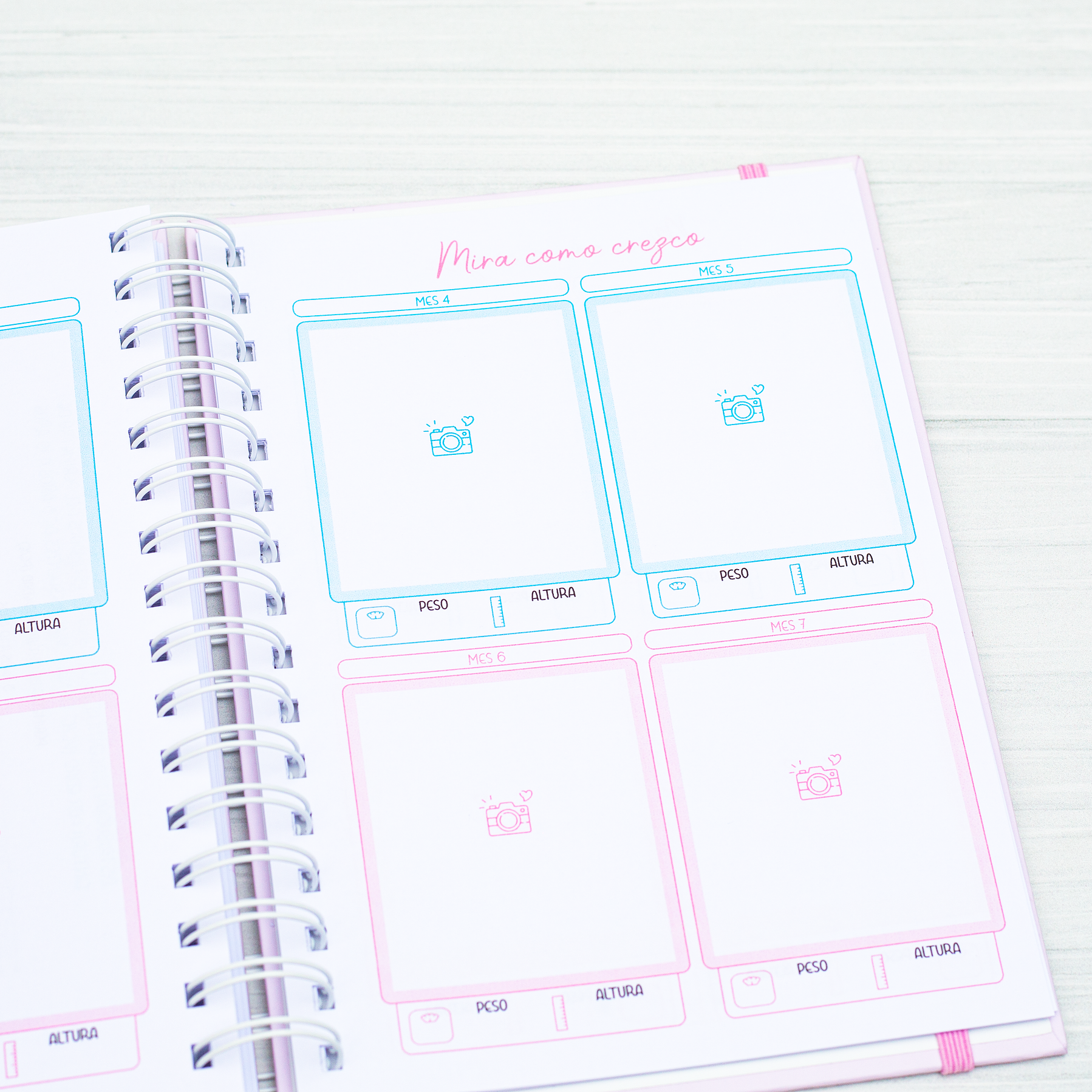 Agenda Pediátrica Erizo 21