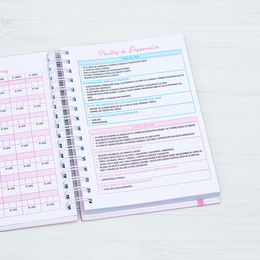 Agenda Pediátrica Conejita 6