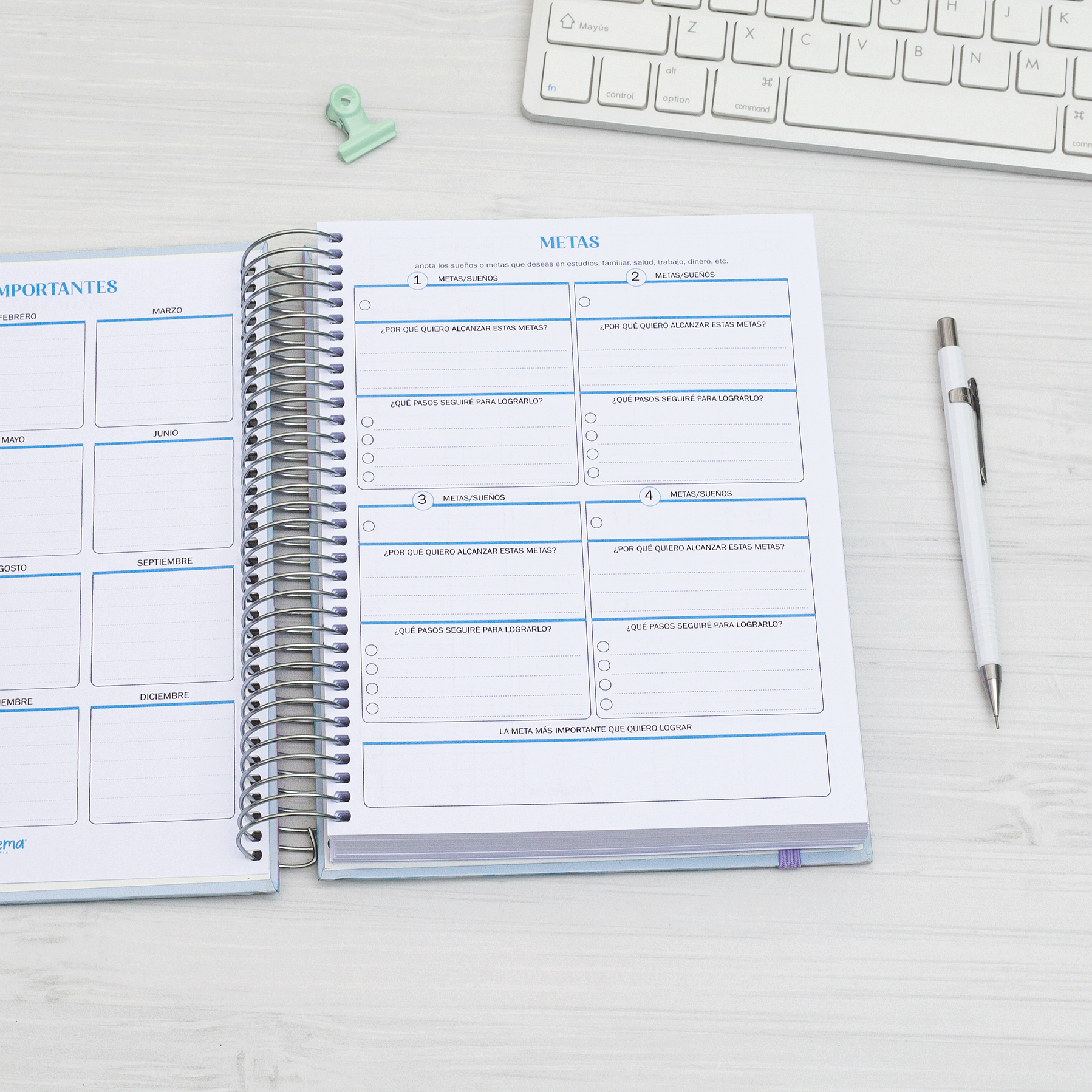 Agenda DIARIA sin fecha (interior color celeste) 4