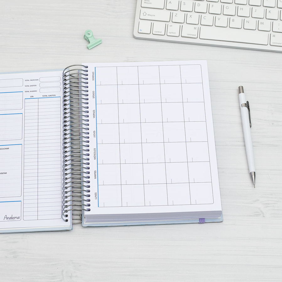 Agenda DIARIA sin fecha (interior color celeste) 6