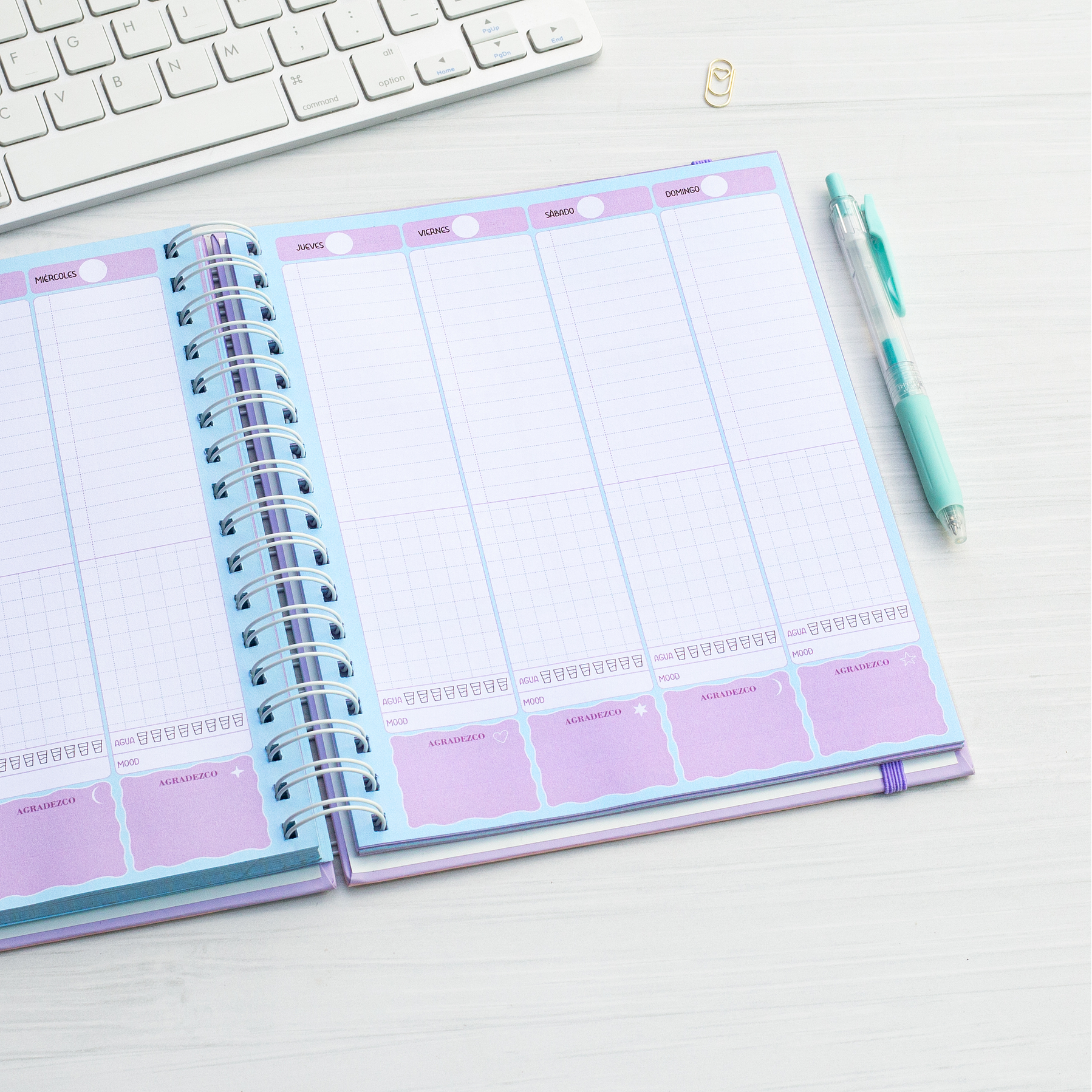 Súper Planner Malva / Inteligente 6