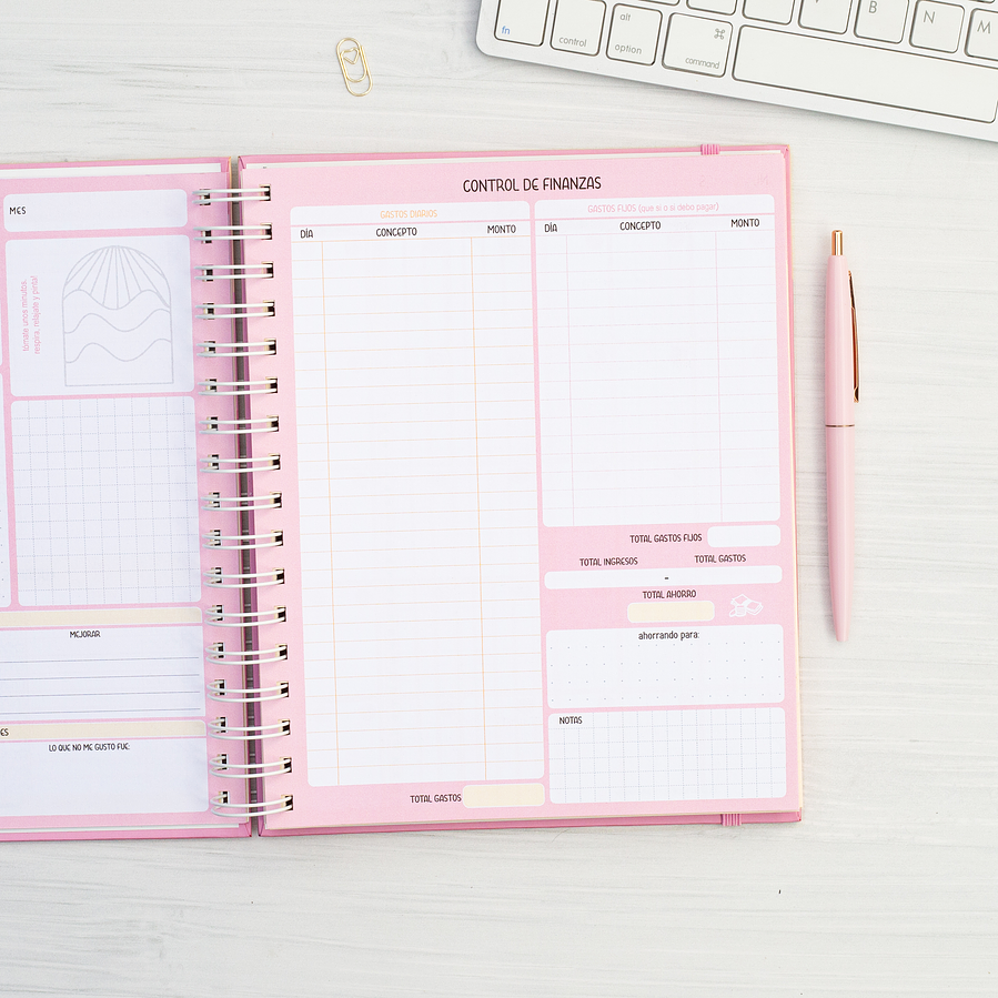 Súper Planner Fruti-Vainilla / Inteligente 4