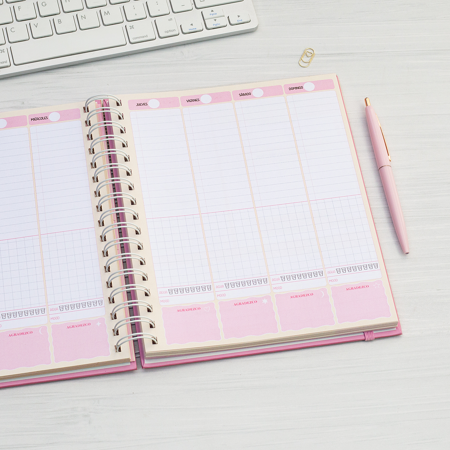 Súper Planner Fruti-Vainilla / Inteligente 6