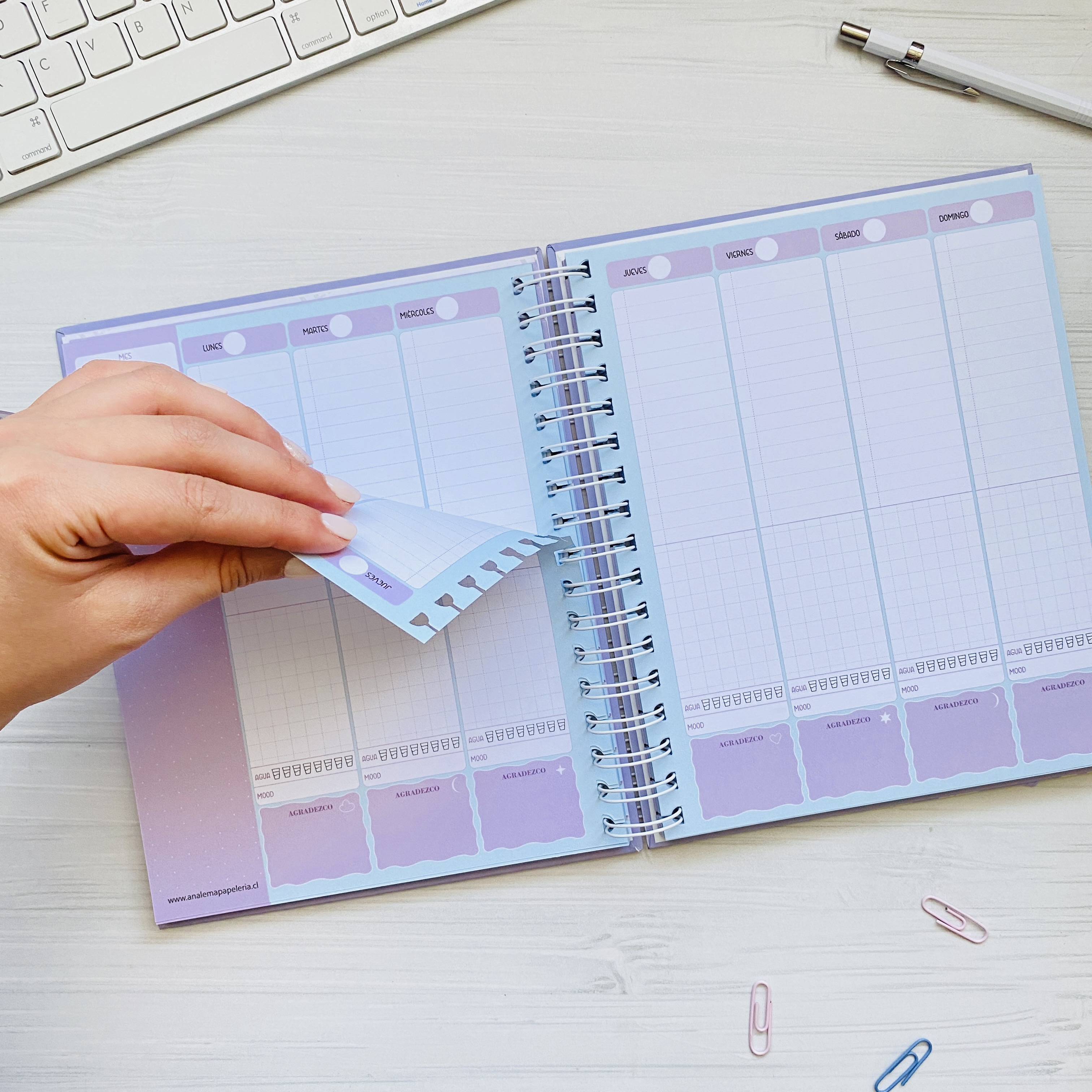 Súper Planner Malva / Inteligente