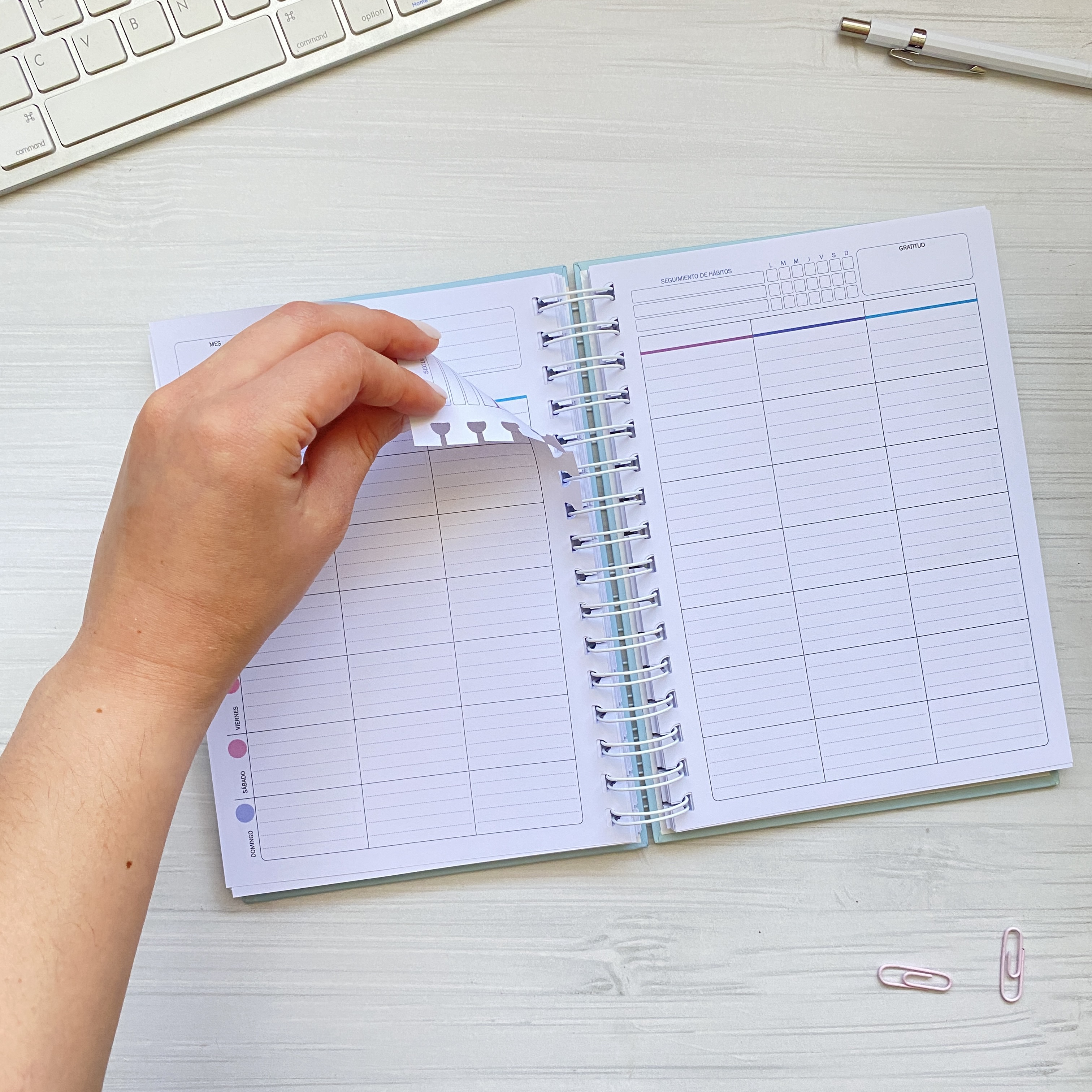 Planner Clásico Vista Bloques / inteligente