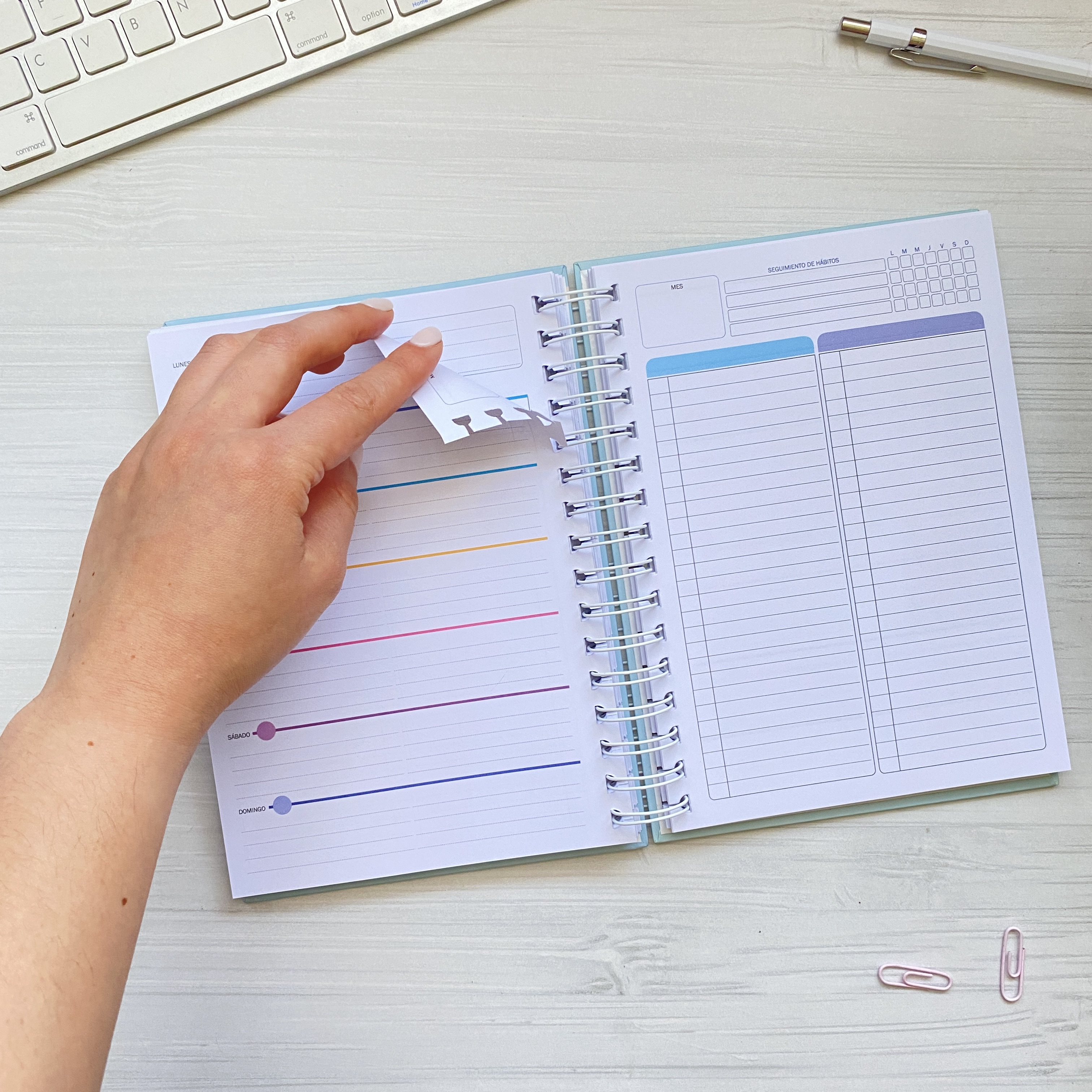 Planner Clásico Horiontal + Listas / Inteligente