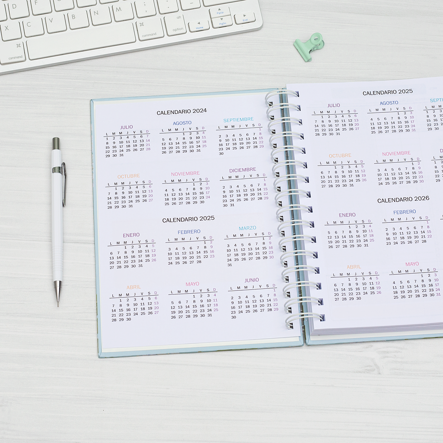 Planner Clásico Vista Vertical Líneas / Inteligente 4