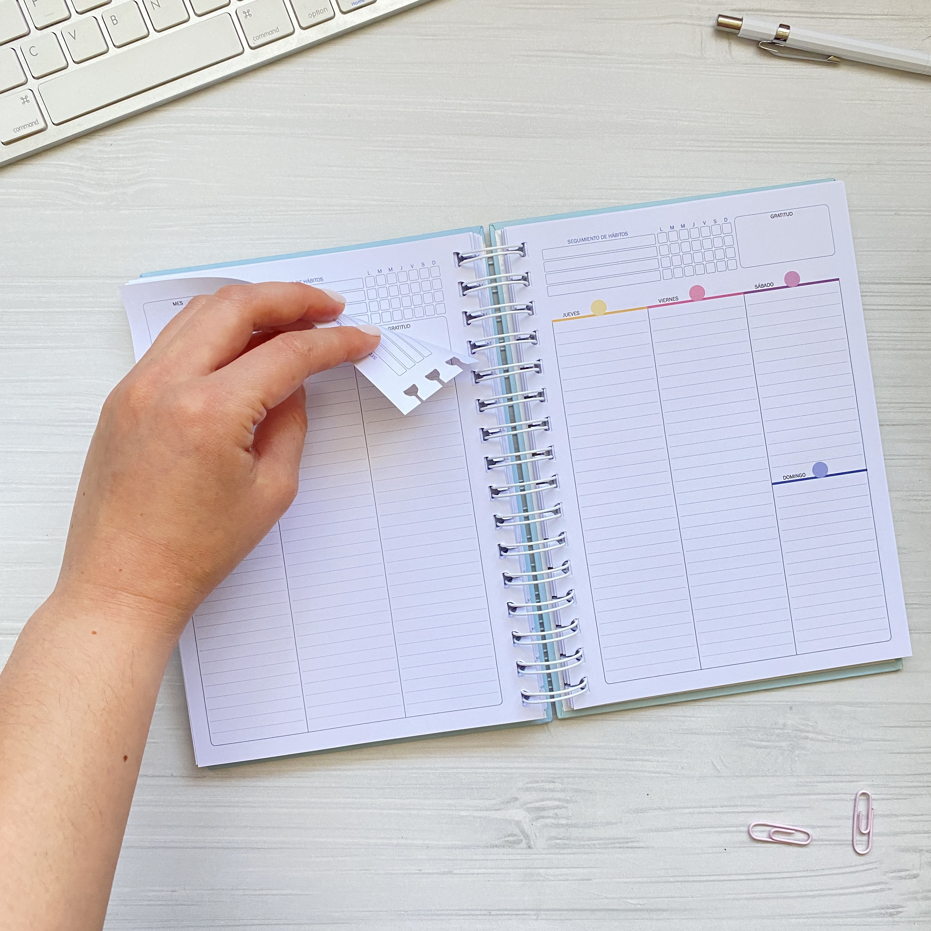 Planner Clásico Vista Vertical Líneas / Inteligente