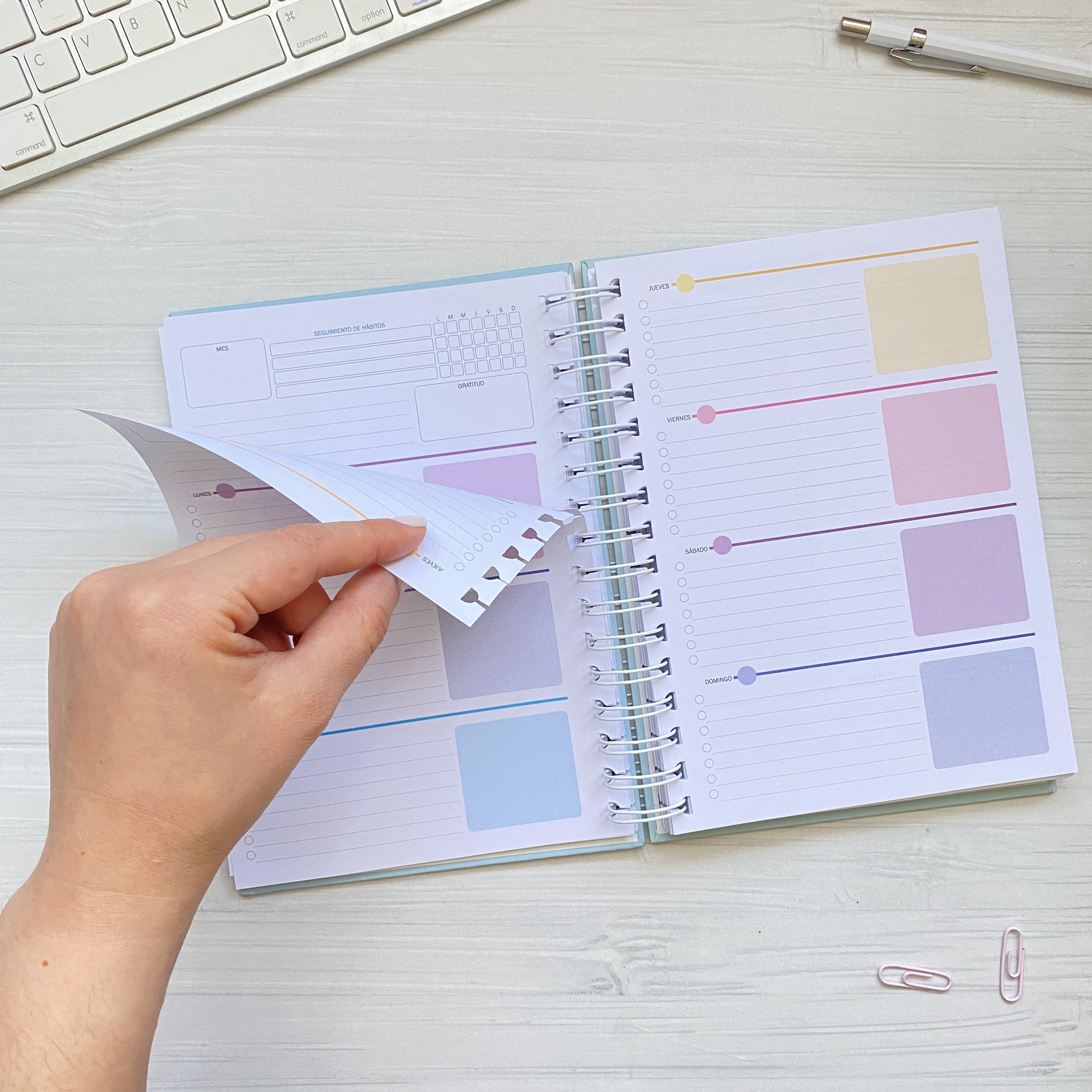 Planner Clásico Vista Horizontal Checklist / Inteligente