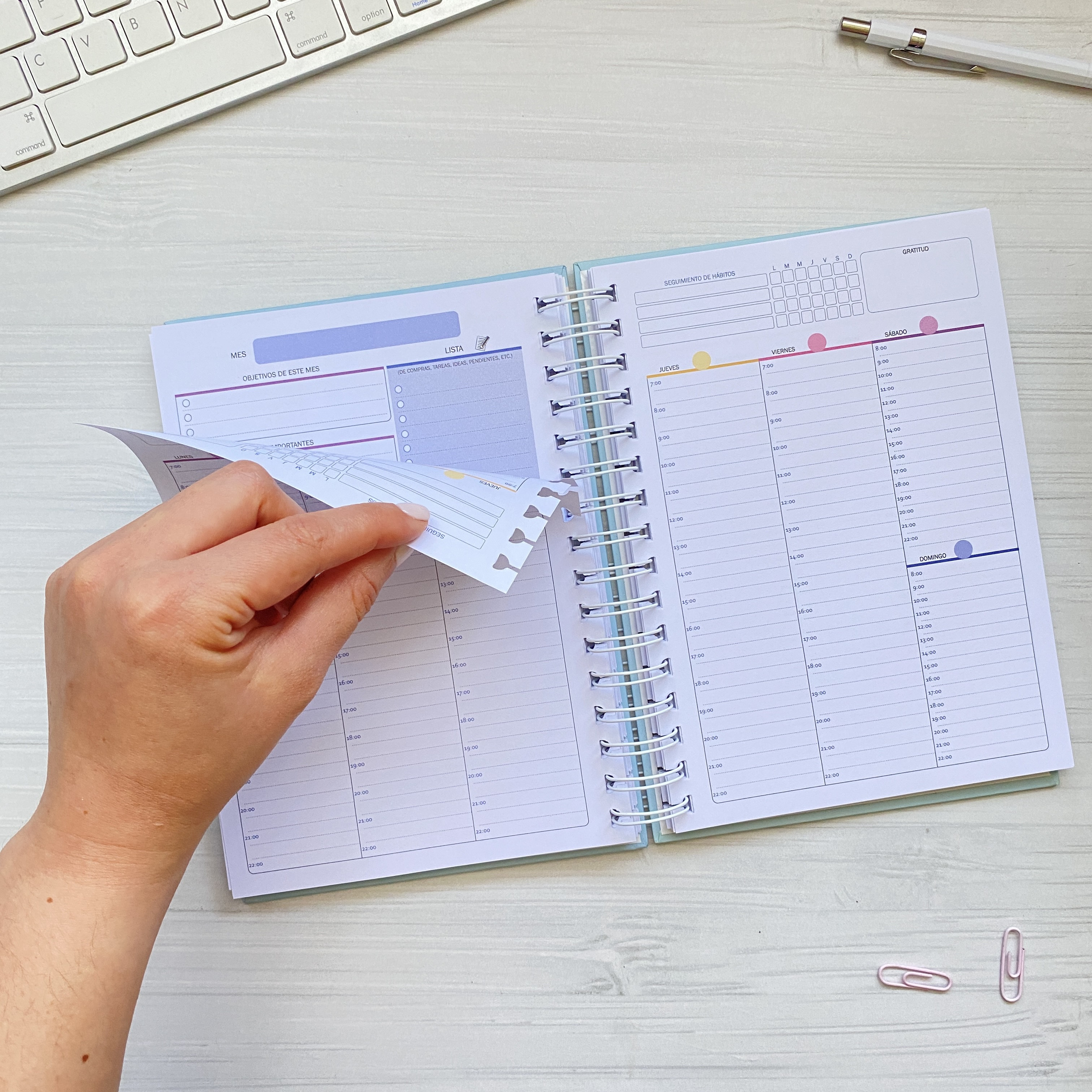 Planner Clásico Vista Vertical Horas / Inteligente