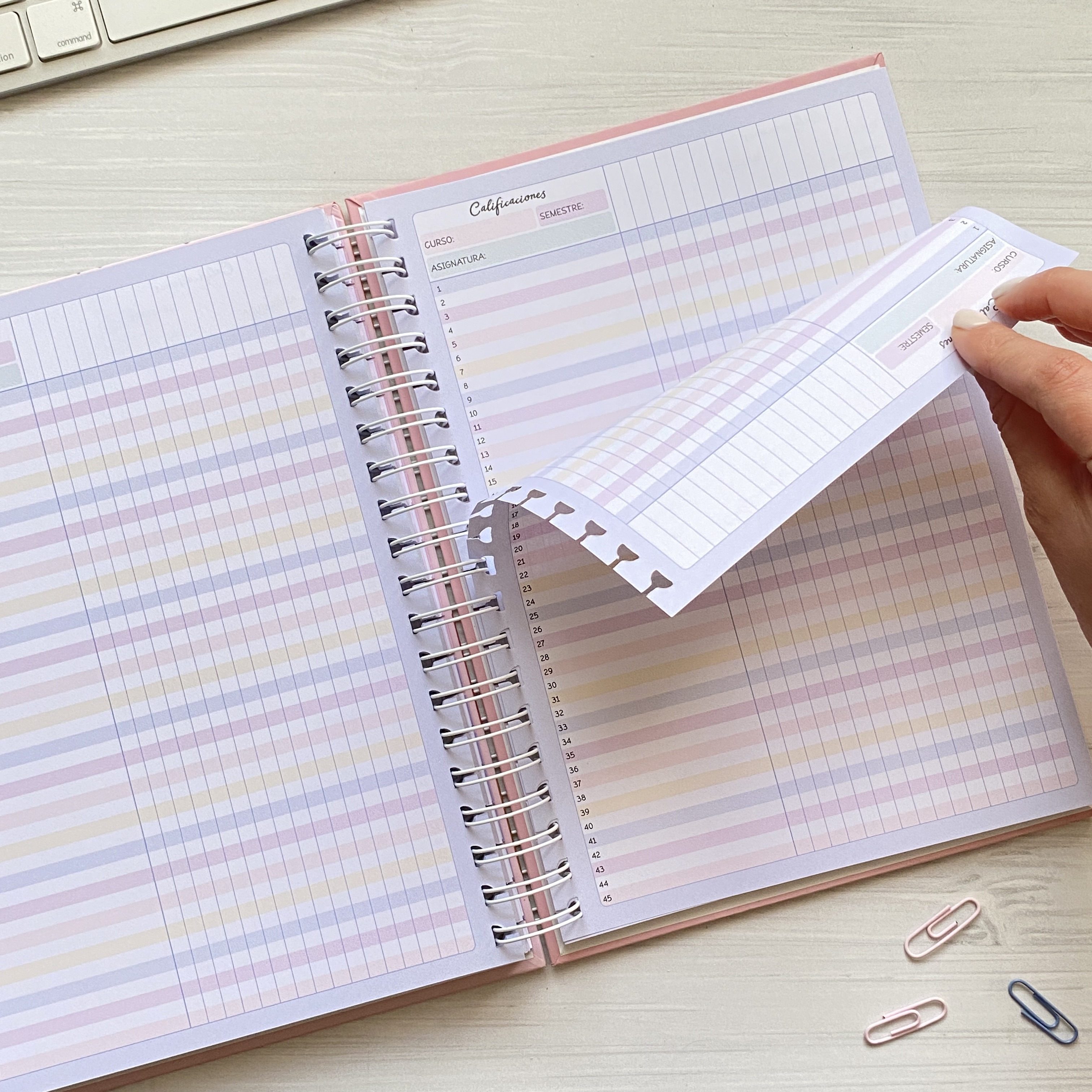 Agenda Docente 2027 en Español / color Sweet / Hojas Removibles + Regalos Preventa