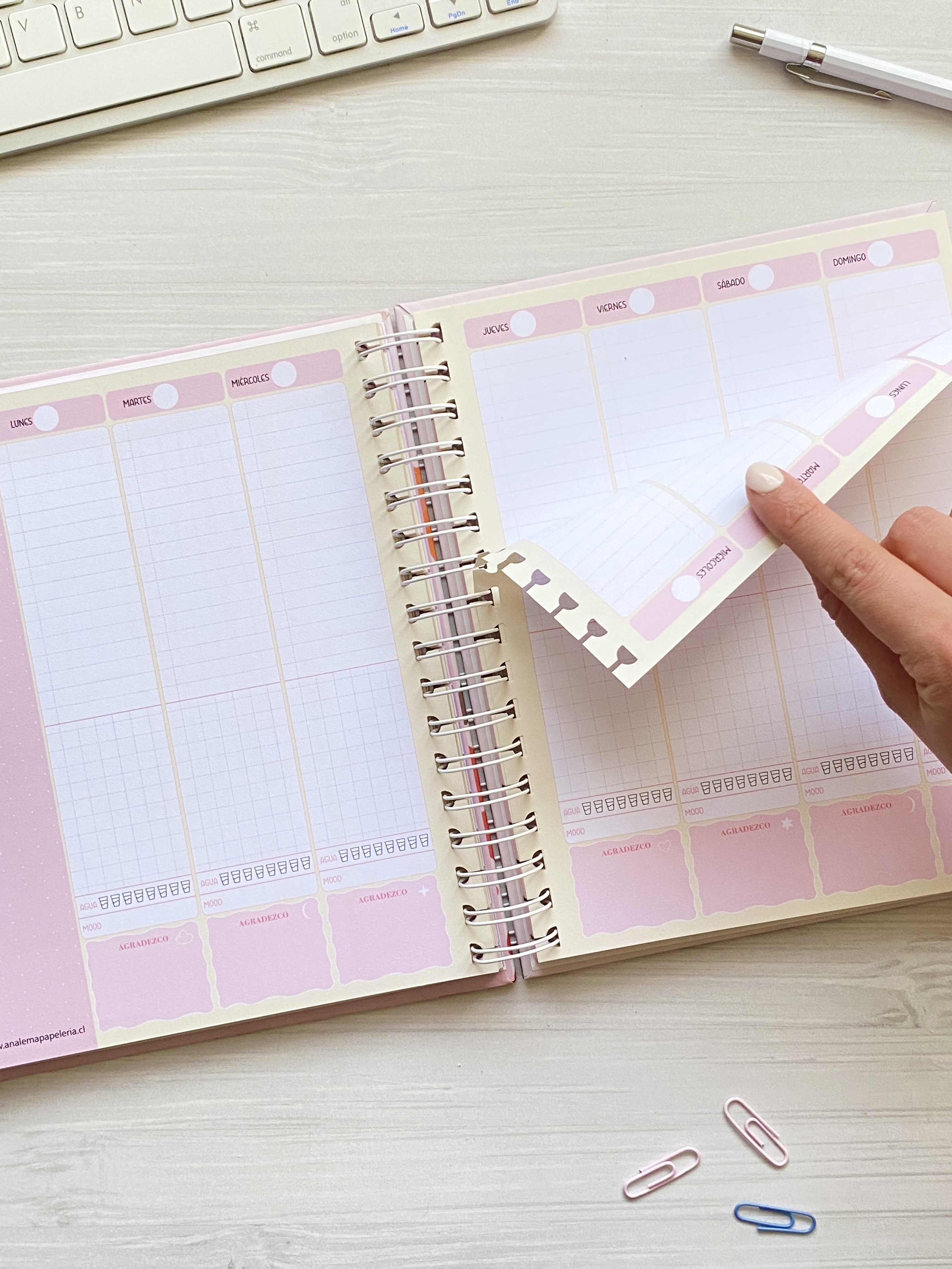 Súper Planner Fruti-Vainilla / Inteligente