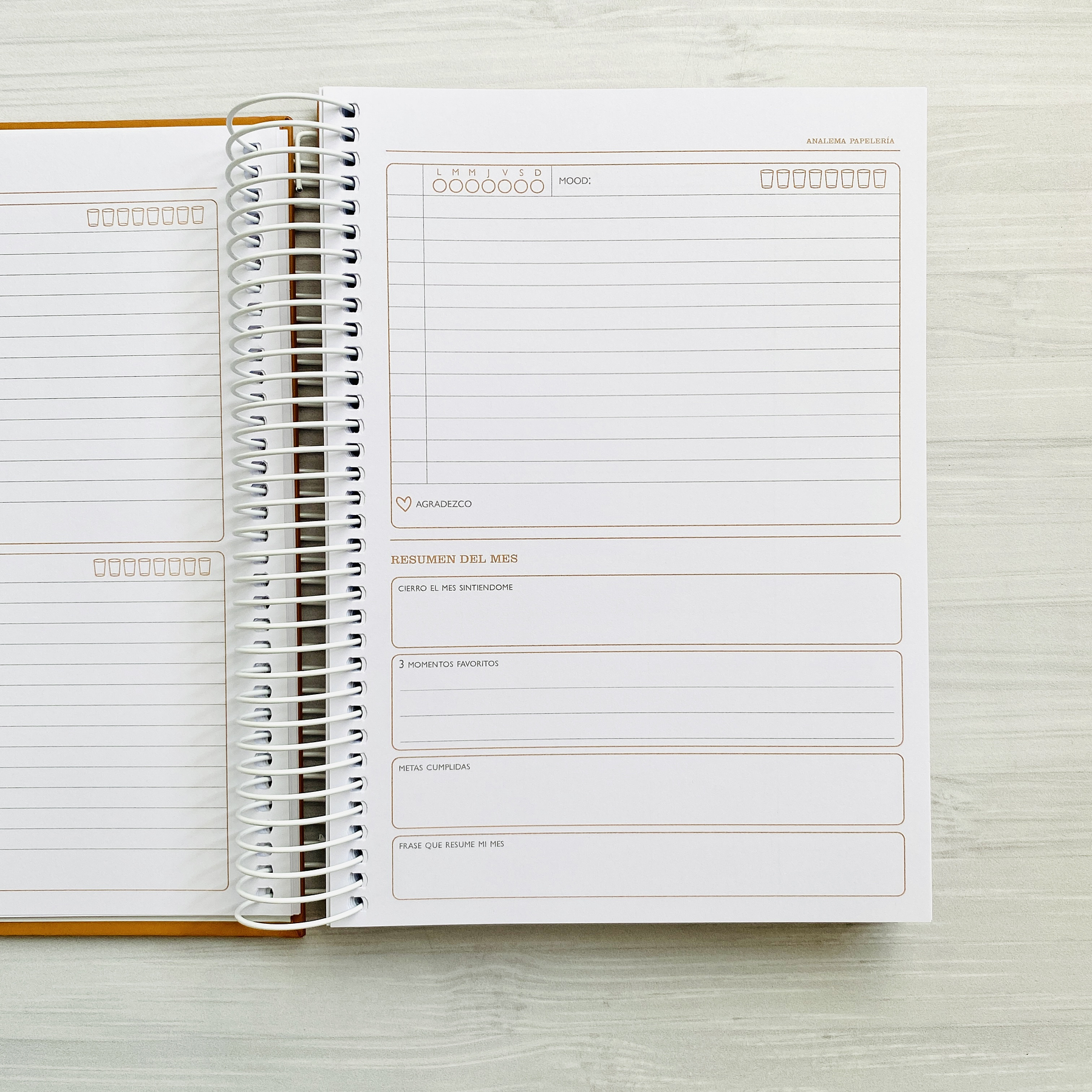 Planner 2 días por página / Cocoa / Portada Personalizada 9