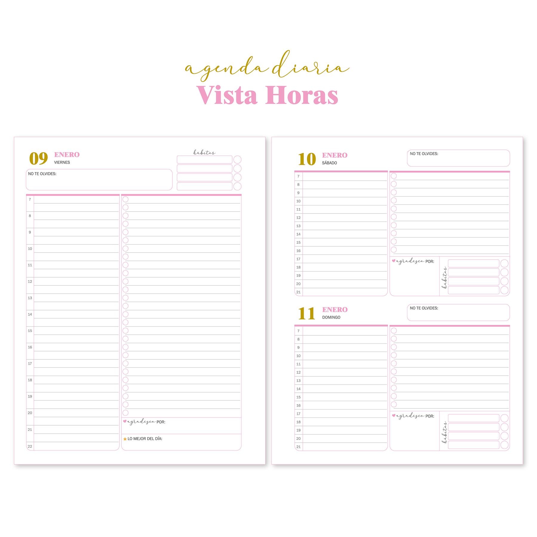 Agenda Diaria Fechada 2026 (Color Rosado) 9