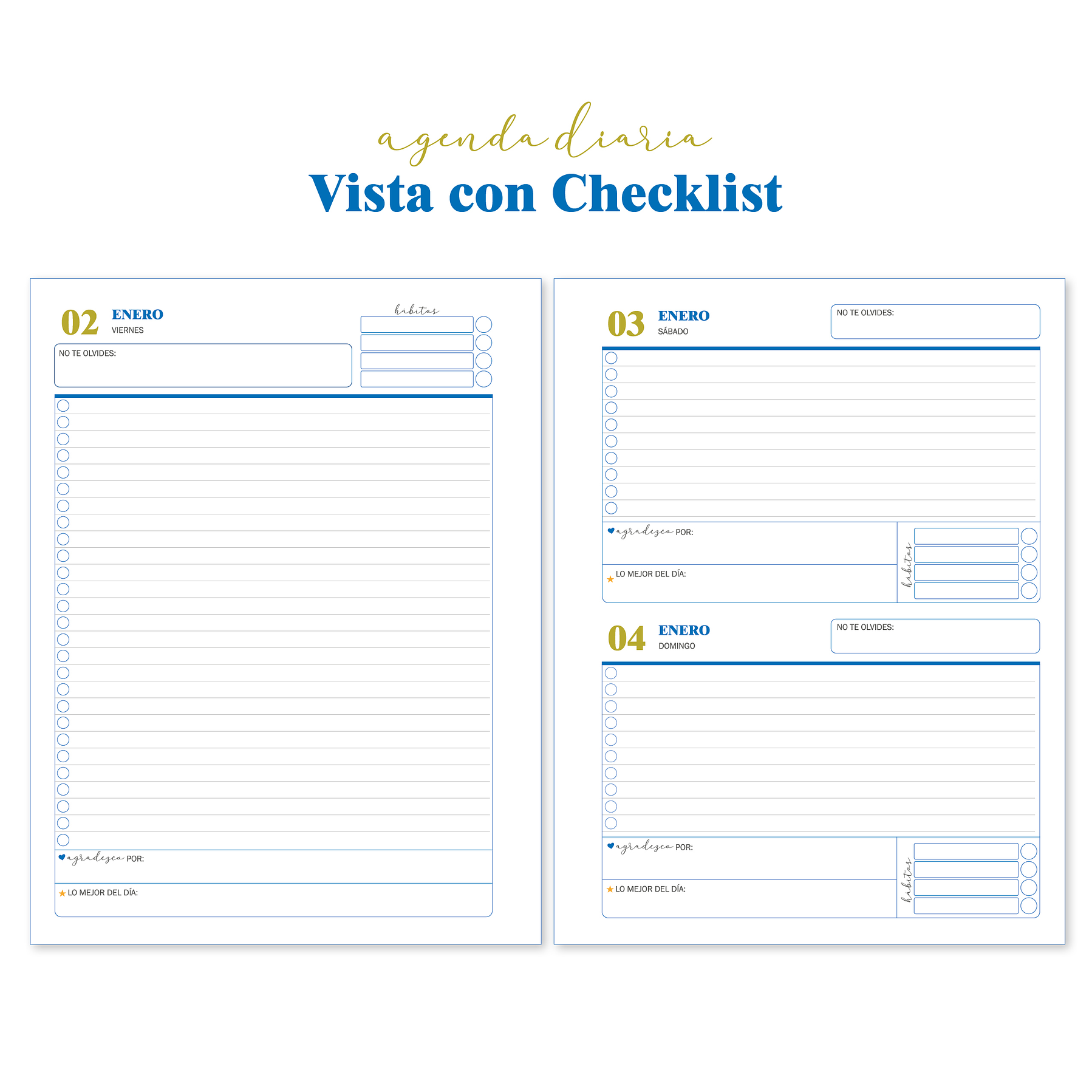 Agenda Diaria Fechada 2026 (Color Azul) 8