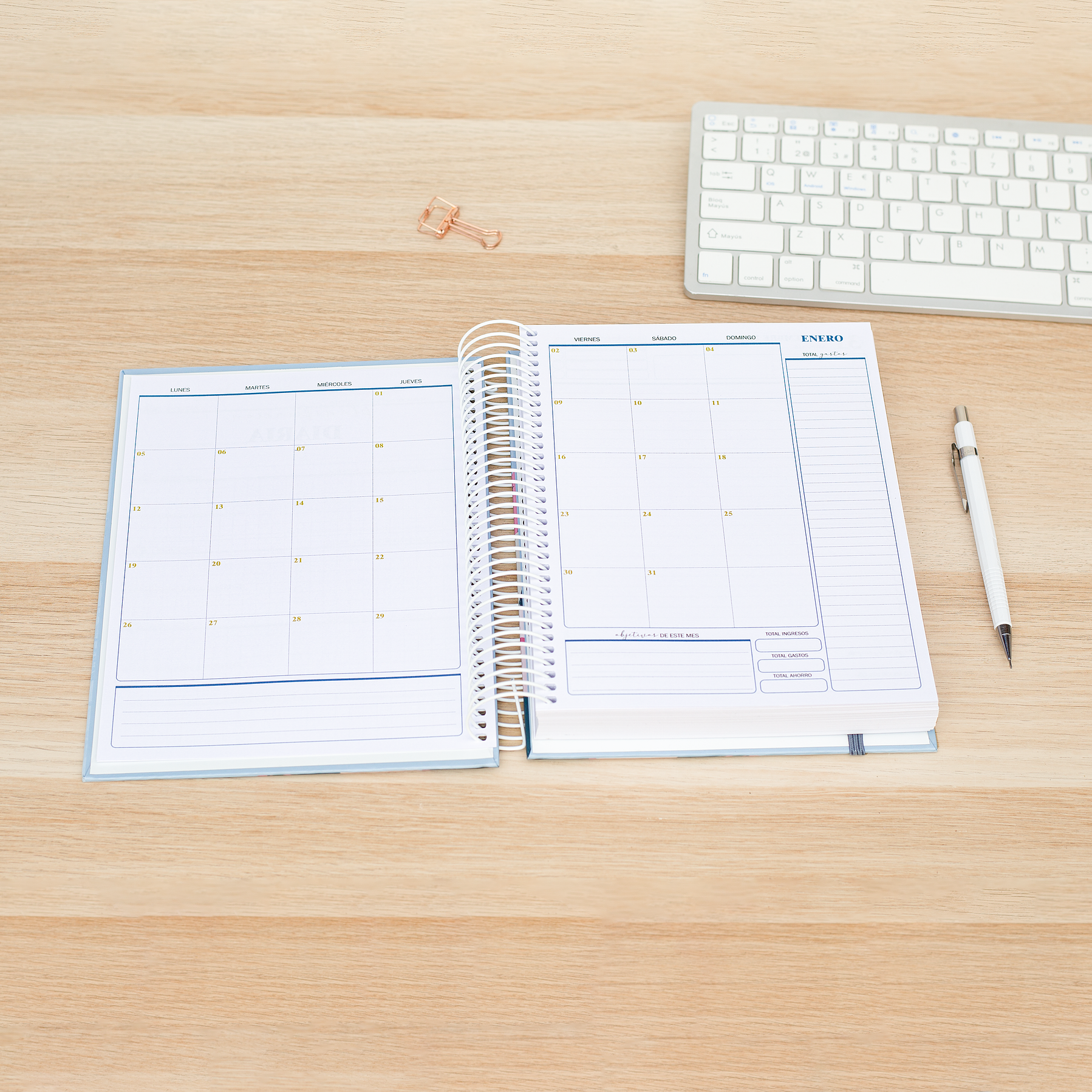 Agenda Diaria Fechada 2026 (Color Azul) 3