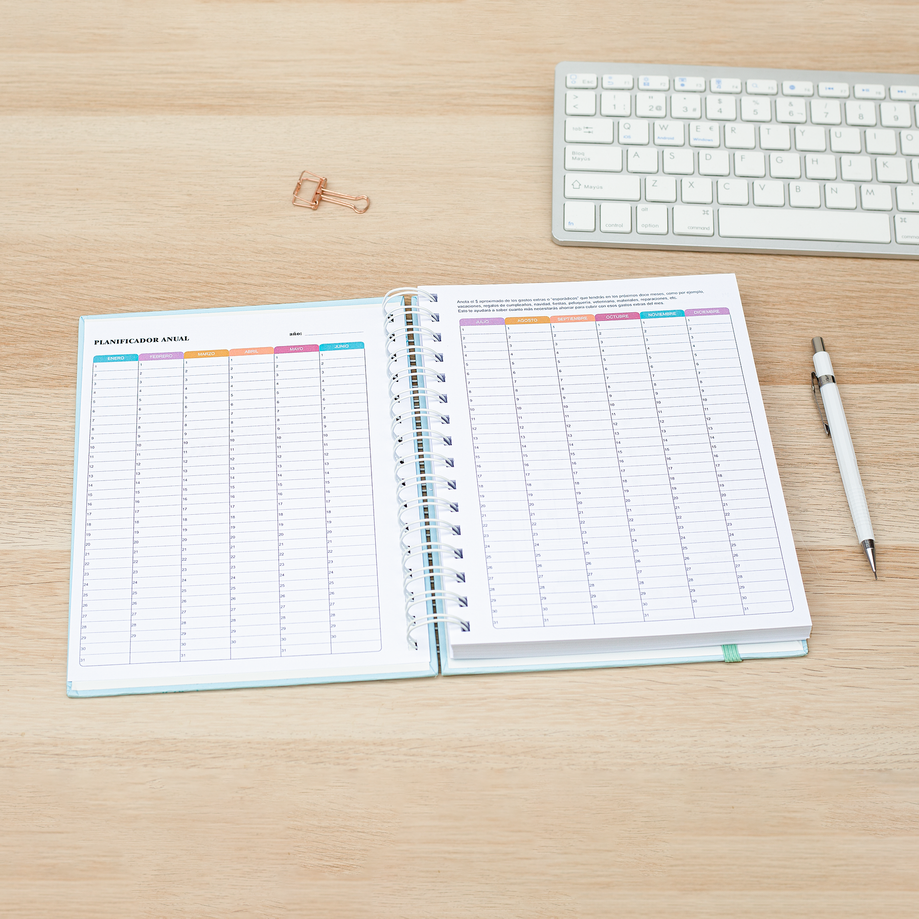 Planner de Ahorros y Gastos 4