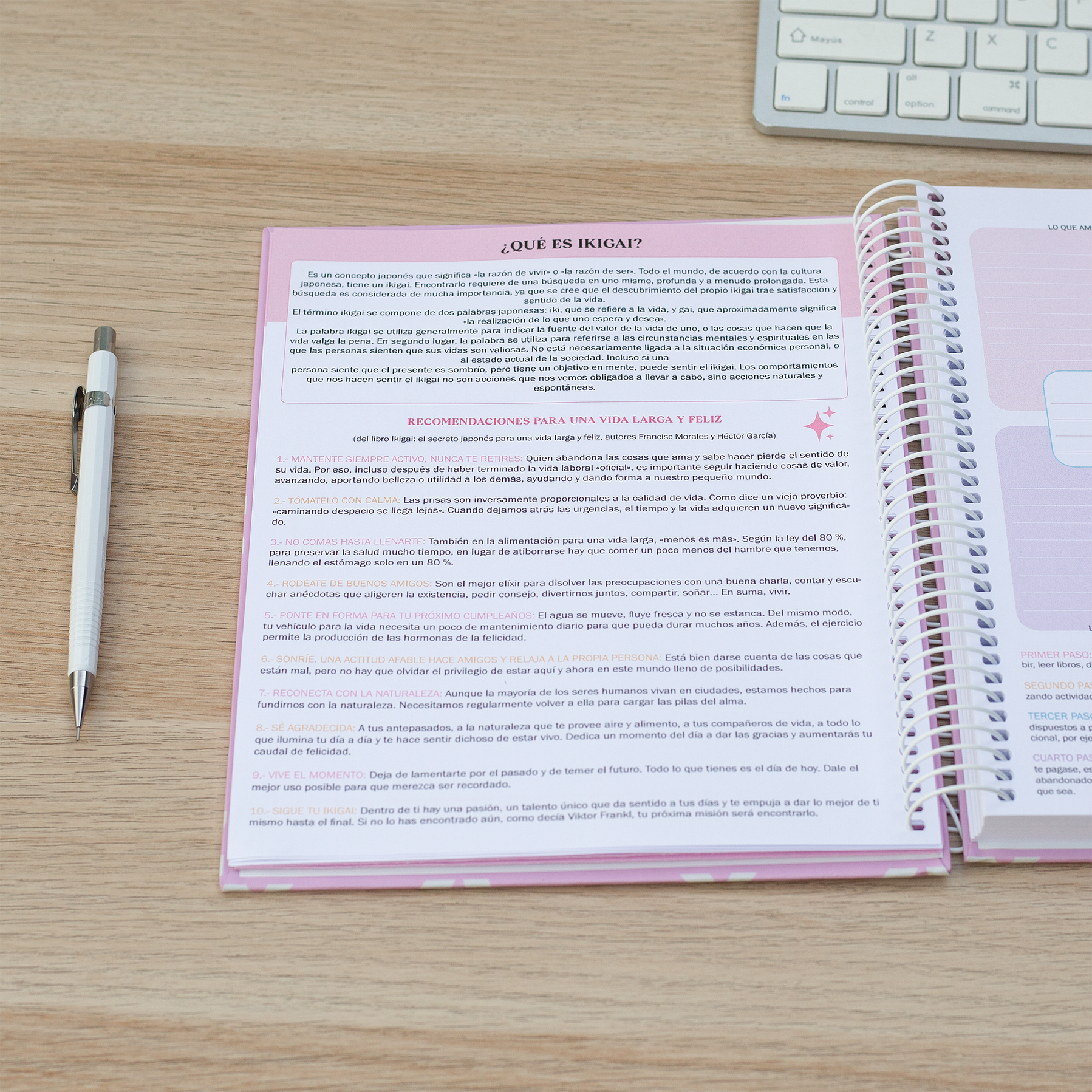 Súper Planner Aurora / Agenda Personalizada 5