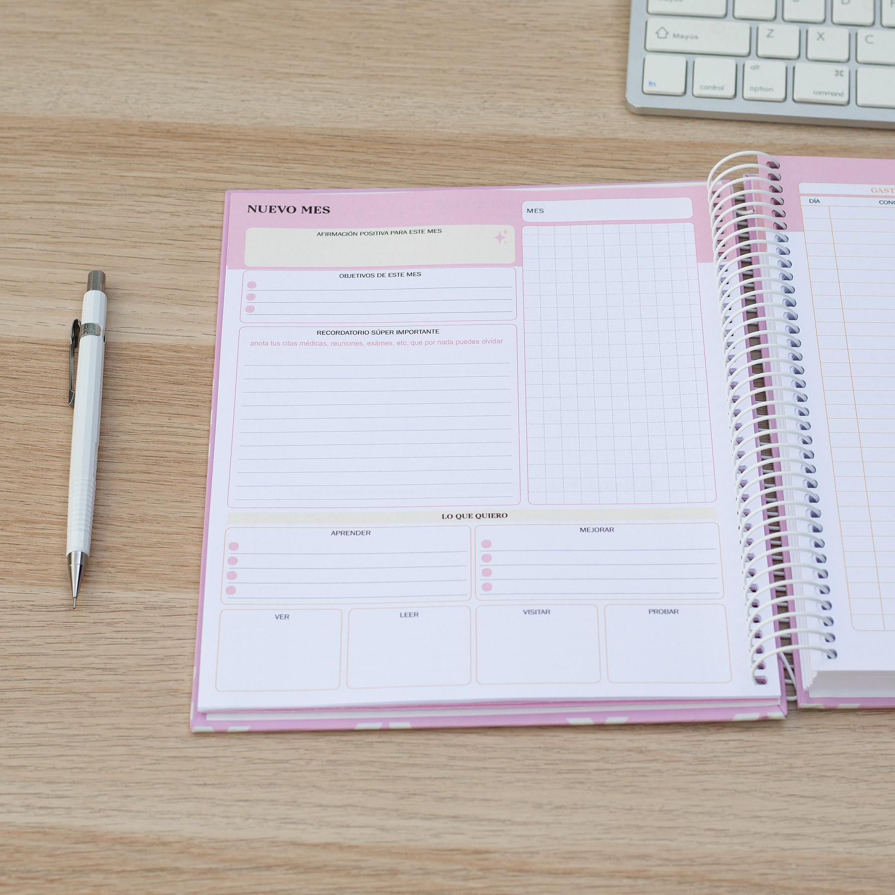 Súper Planner Aurora / Agenda Personalizada 9