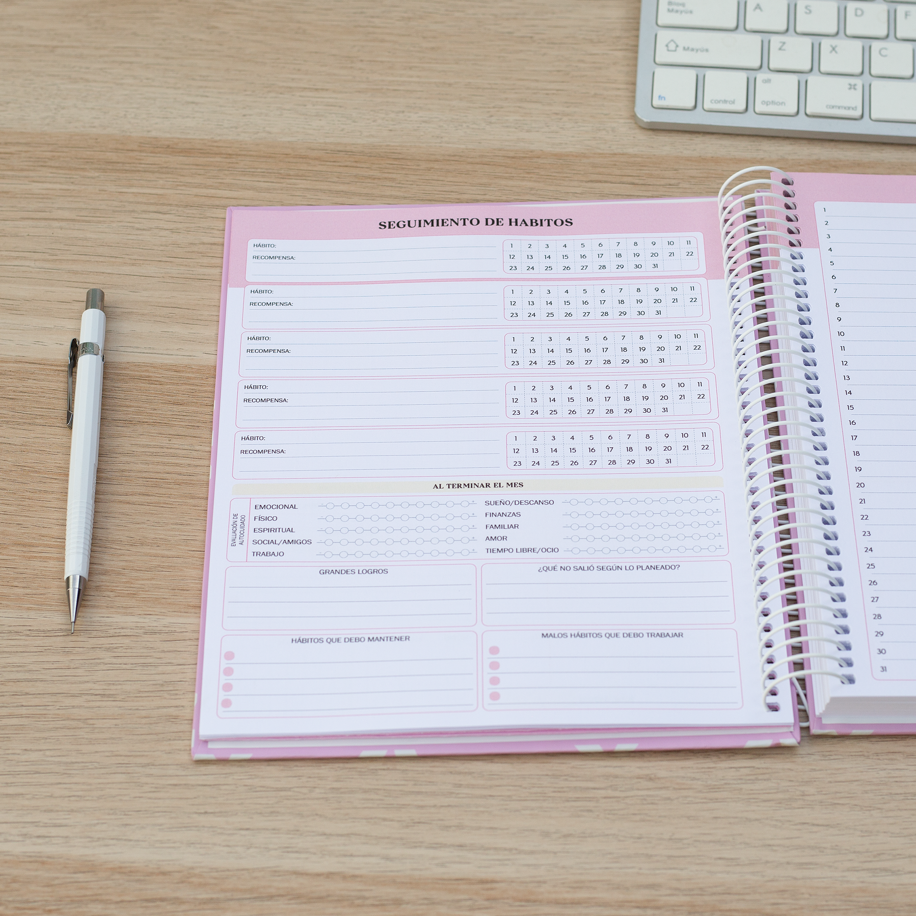 Súper Planner Aurora / Agenda Personalizada 11