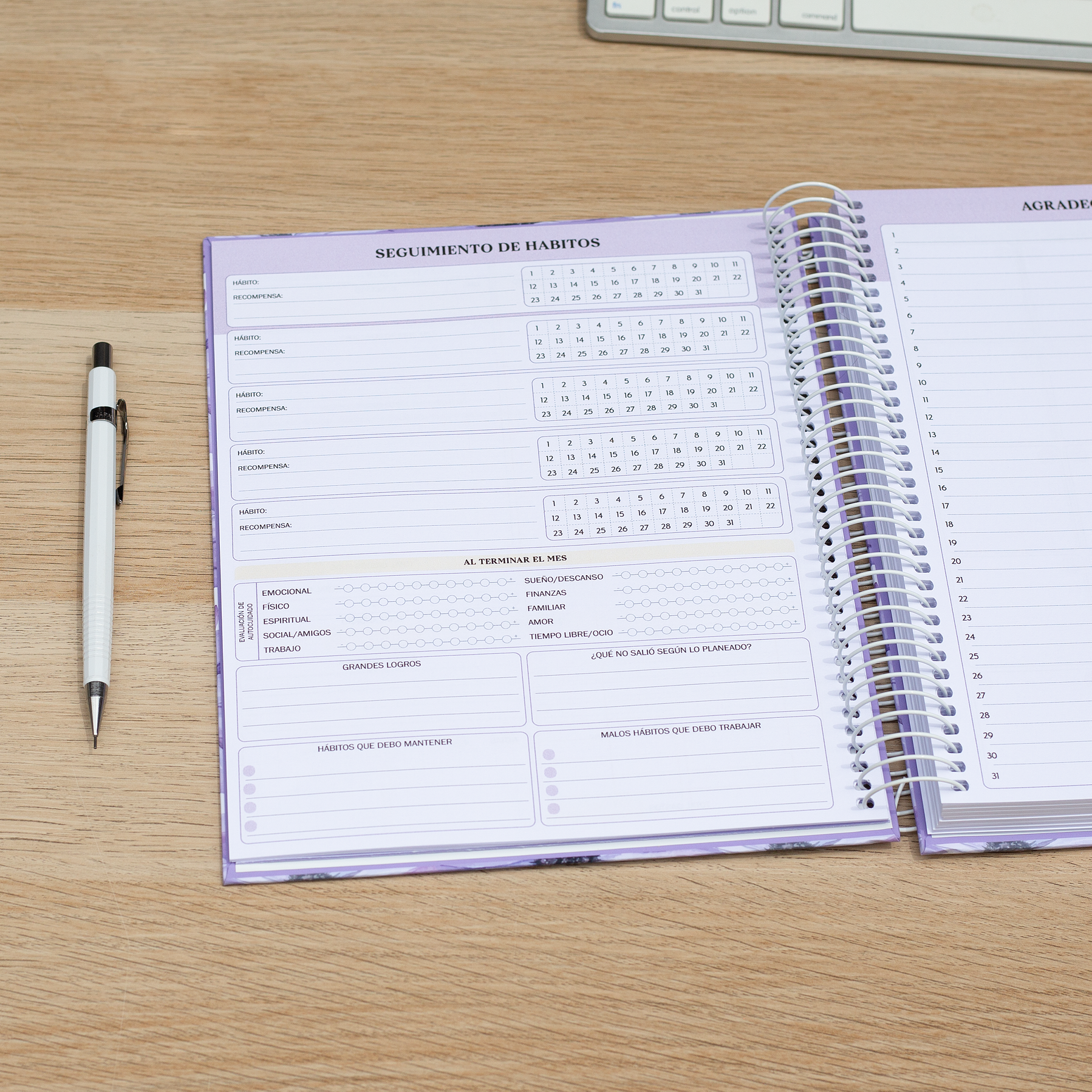 Súper Planner Malva / Agenda Personalizada 11