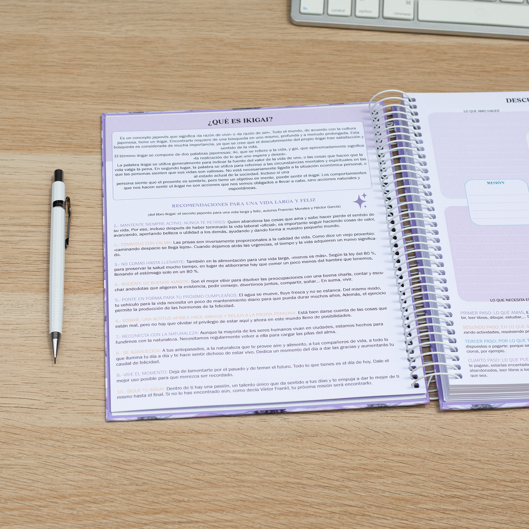 Súper Planner Malva / Agenda Personalizada 5