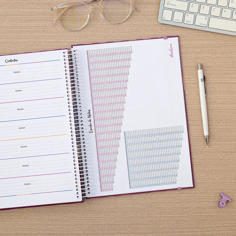 Agenda Docente 2027 en Español / color Sweet / Hojas Removibles + Regalos Preventa 10