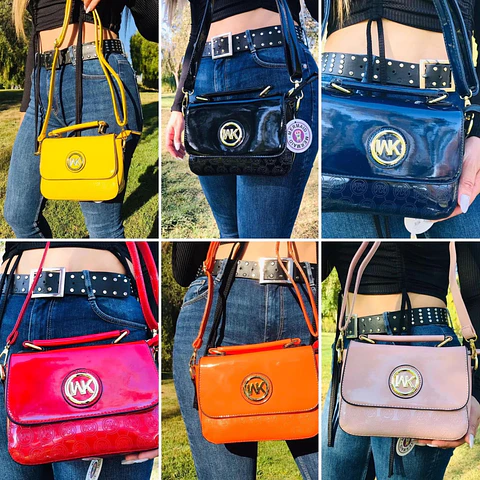 CARTERAS CHAROL LOTE 6 UNIDADES COLORES SURTIDOS 